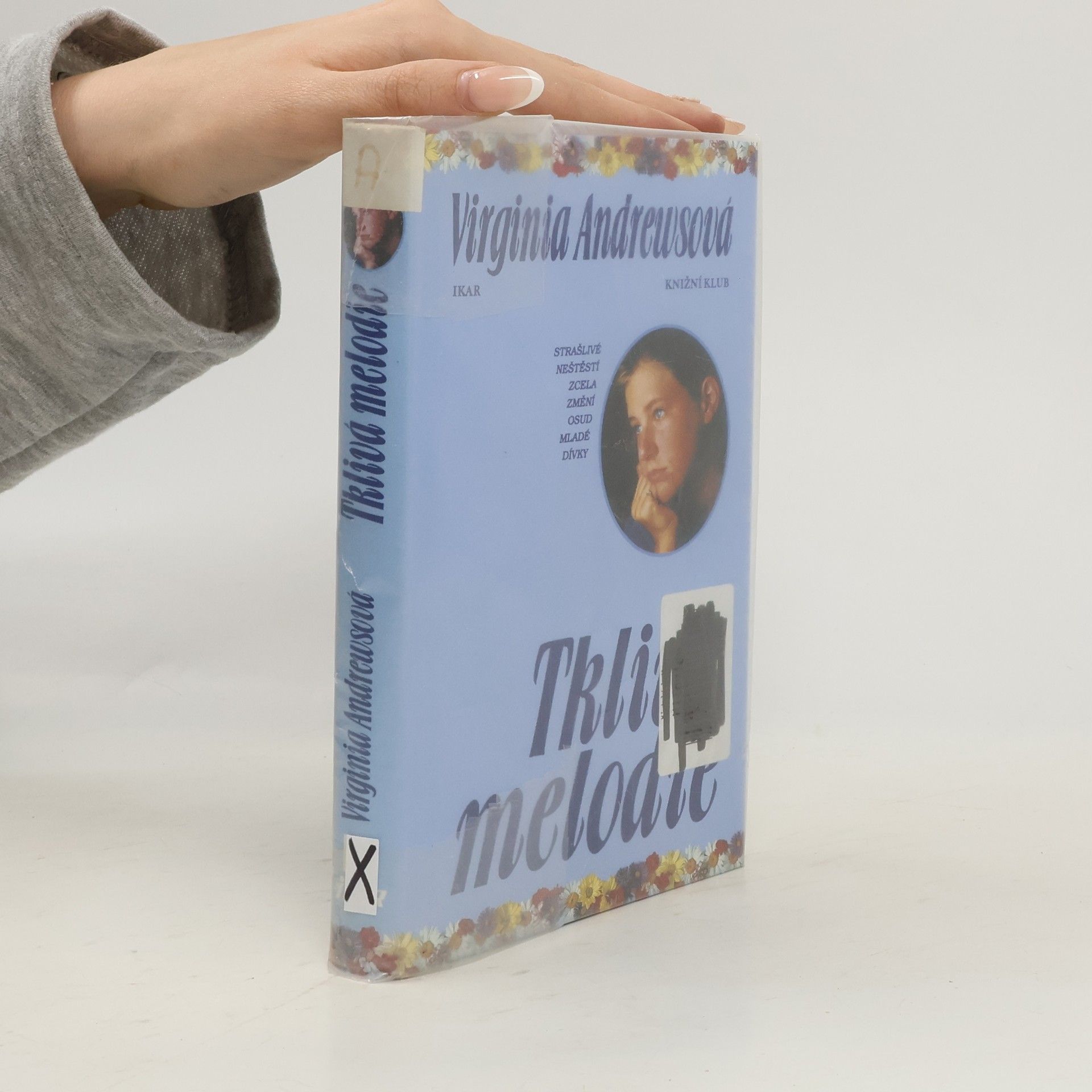 Virginia C. Andrewsová Tklivá melodie