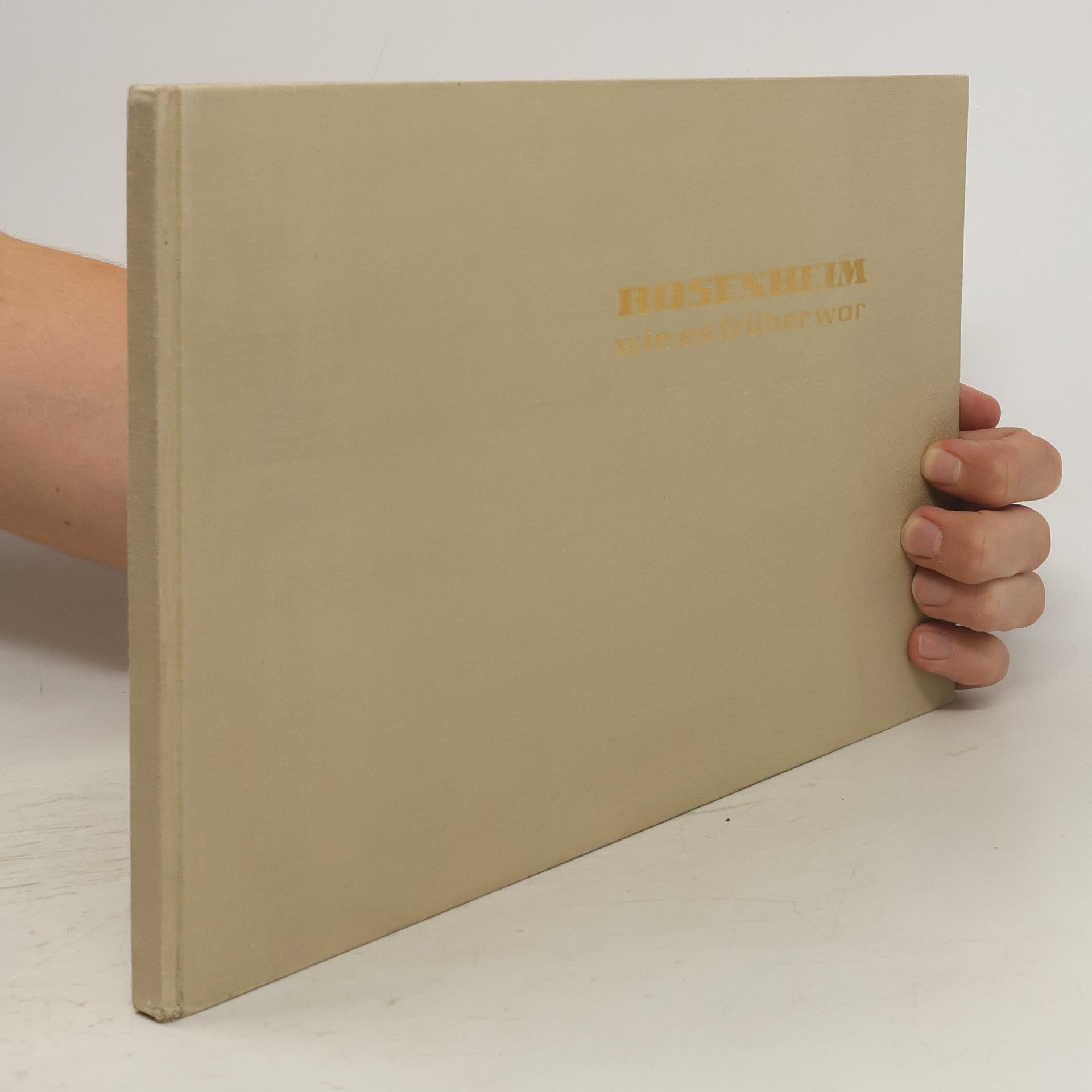 Friedrich Wilhelm Doppelmayr Rosenheim wie es früher war