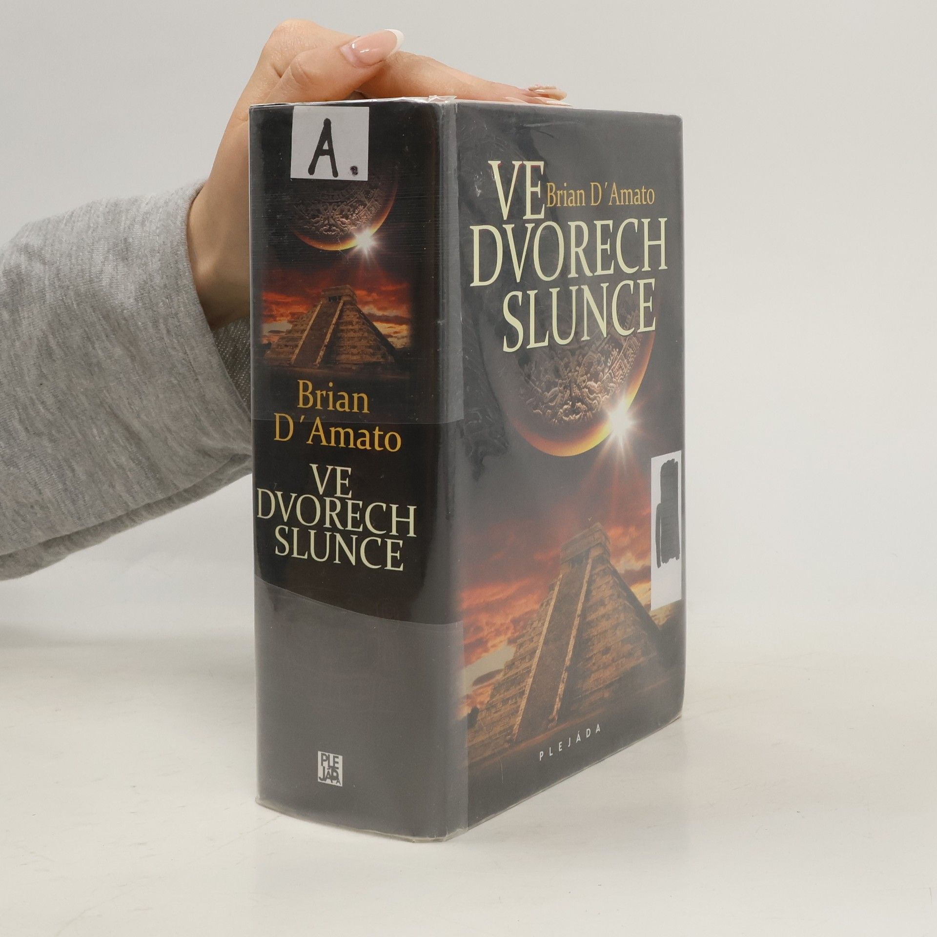 Brian D. Amato Ve dvorech slunce