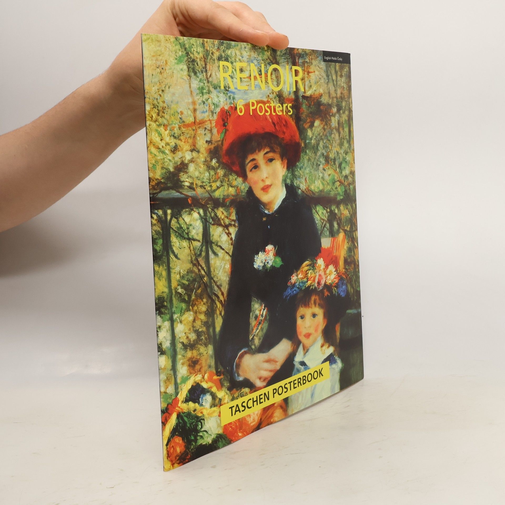AA.VV. Renoir 6 Posters. Taschen Posterbook