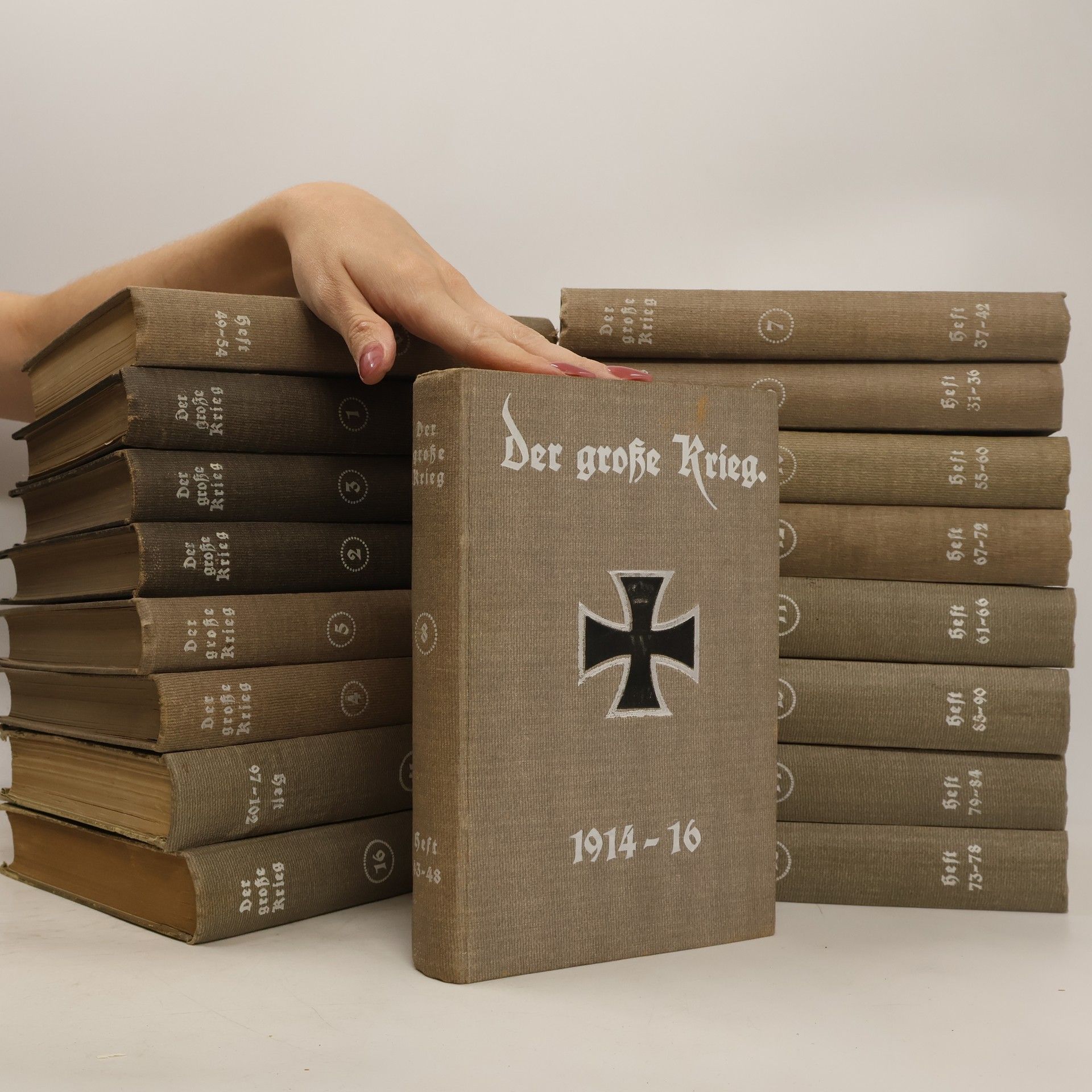 Collectif d'auteurs Der große Krieg. Chronik von Tag zu Tag 1-17. 1914-1918
