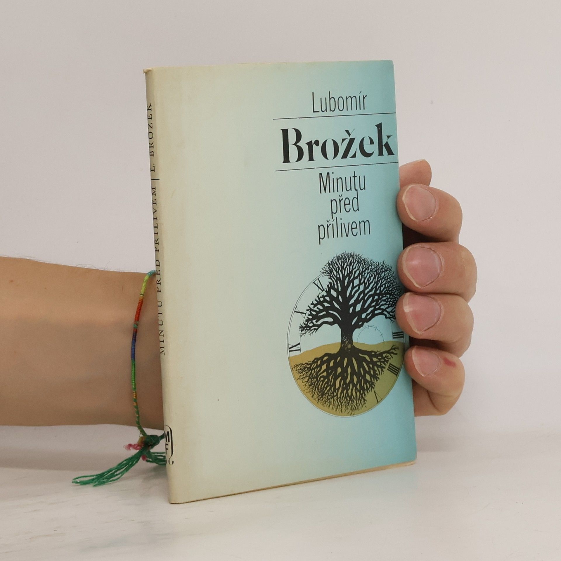 Lubomír Brožek Minutu před přílivem