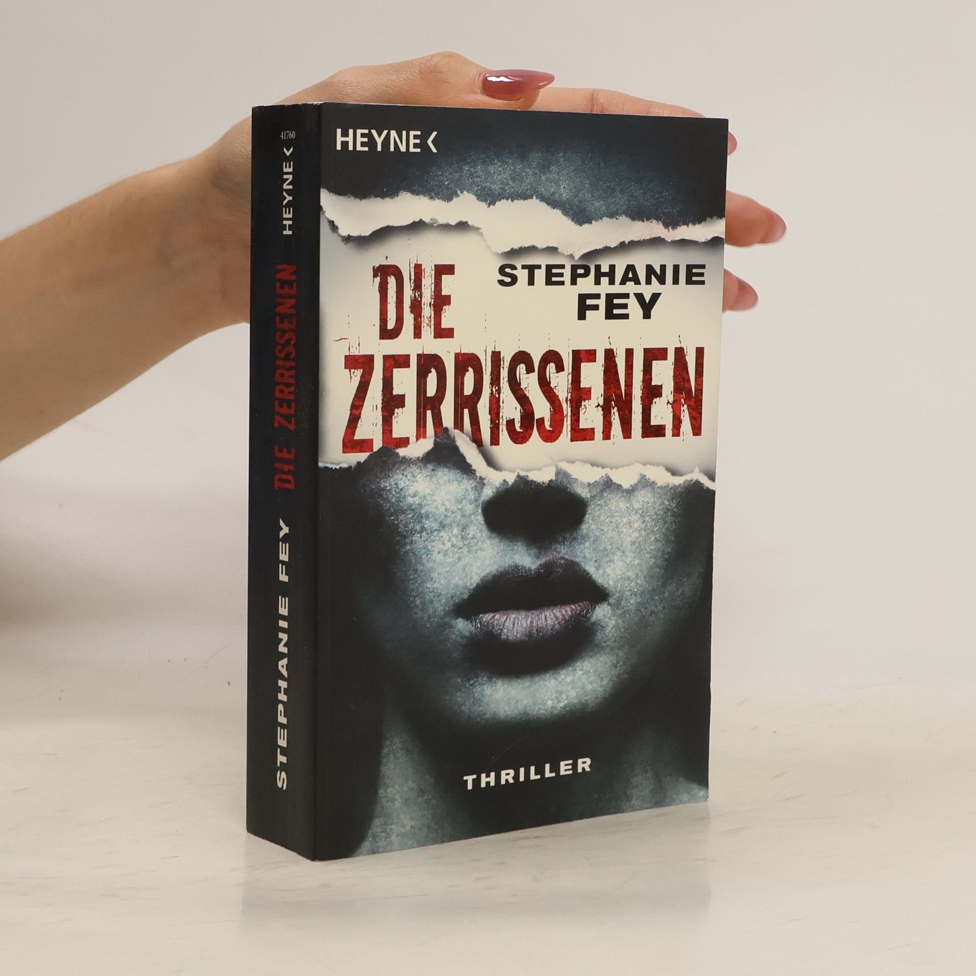 Stephanie Fey Die Zerrissenen