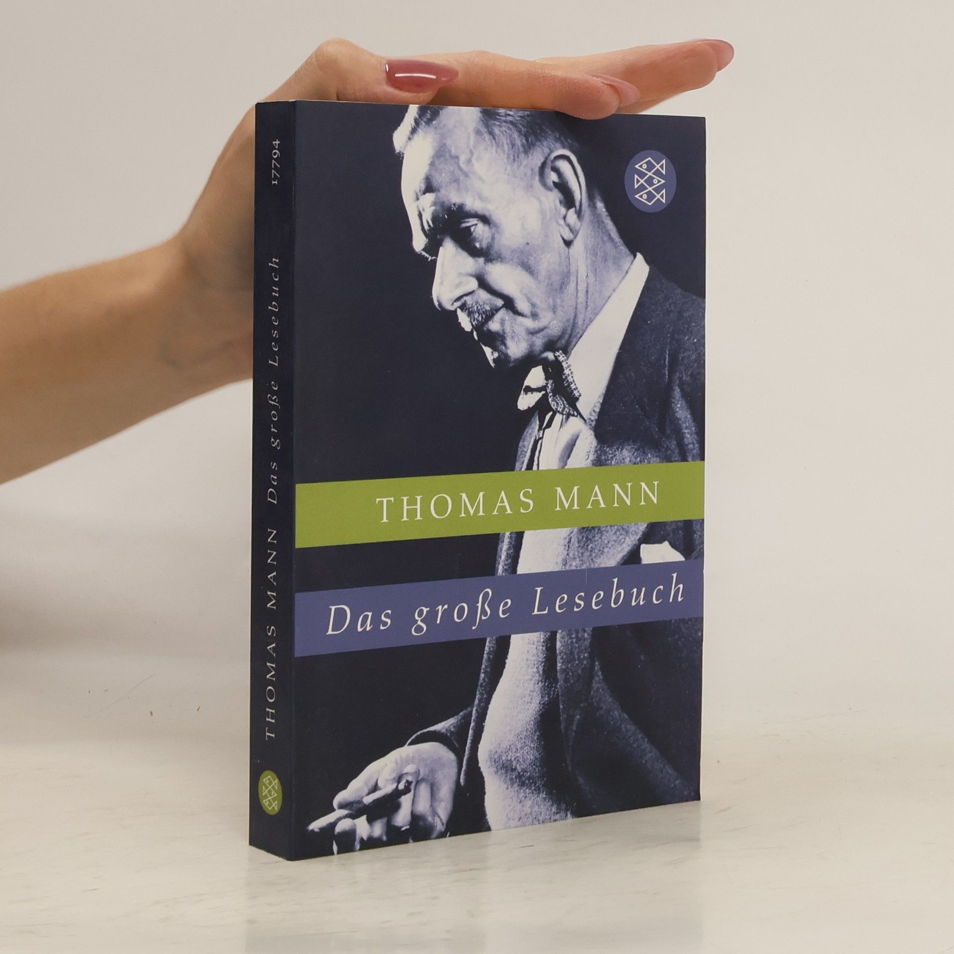 Thomas Mann Das große Lesebuch