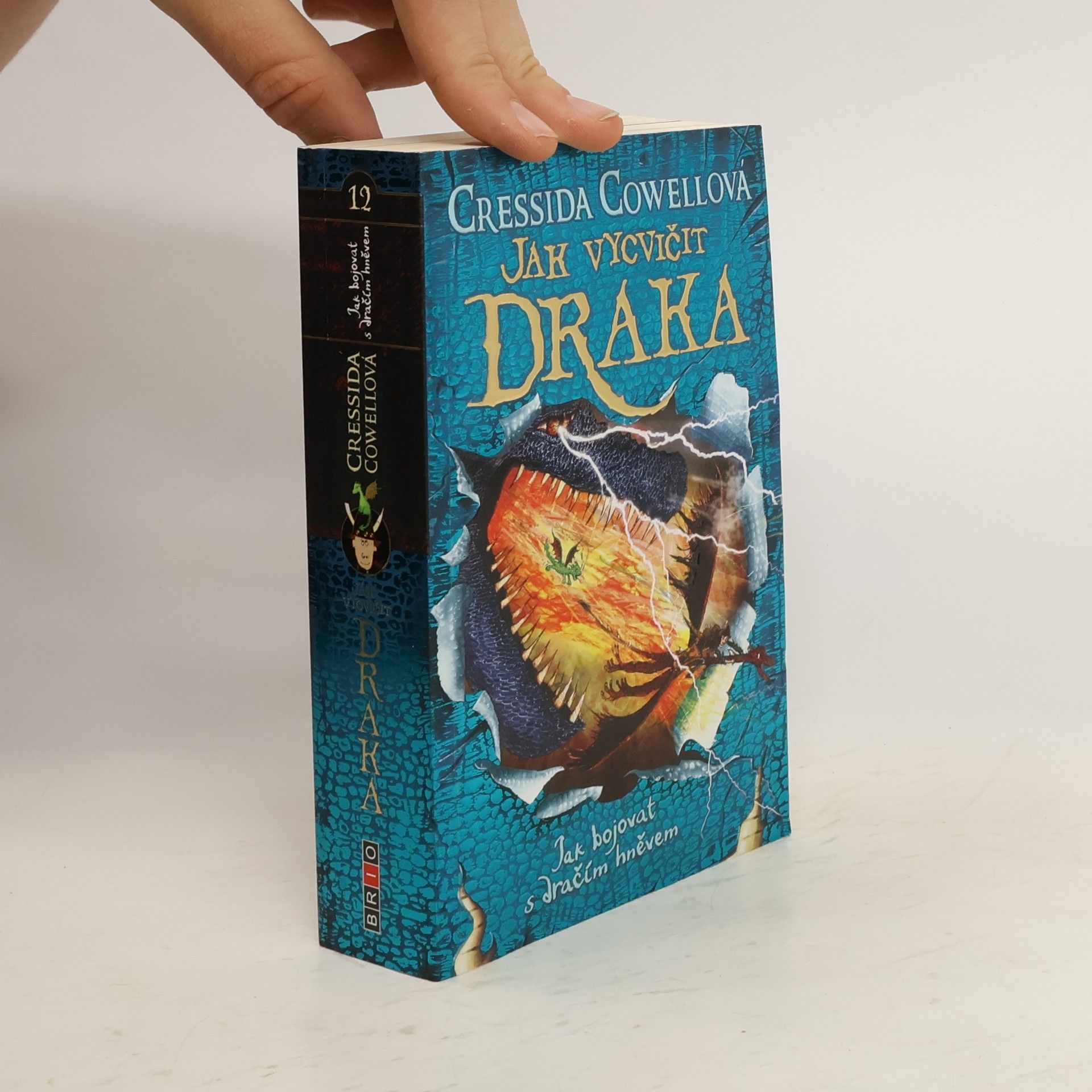 Cressida Cowell Jak bojovat s dračím hněvem