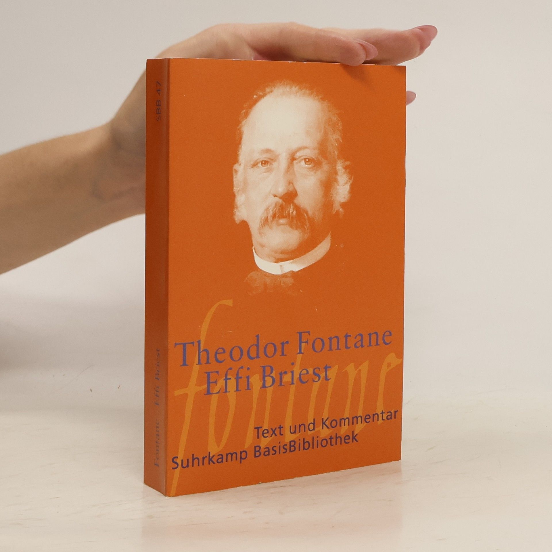 Theodor Fontane Effi Briest