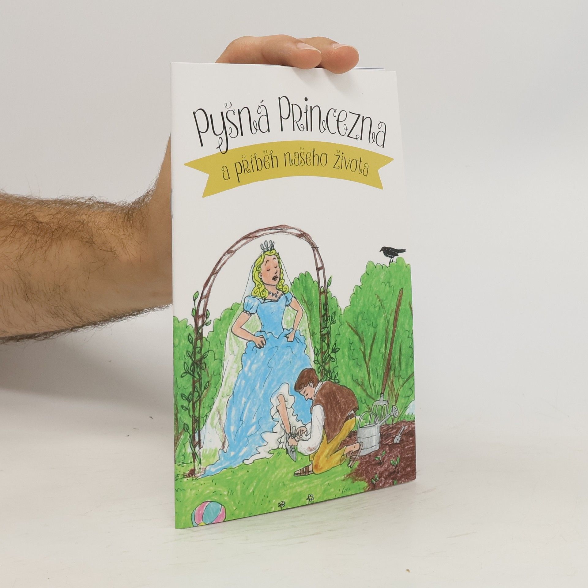 Rostislav Homola Pyšná princezna a příběh našeho života
