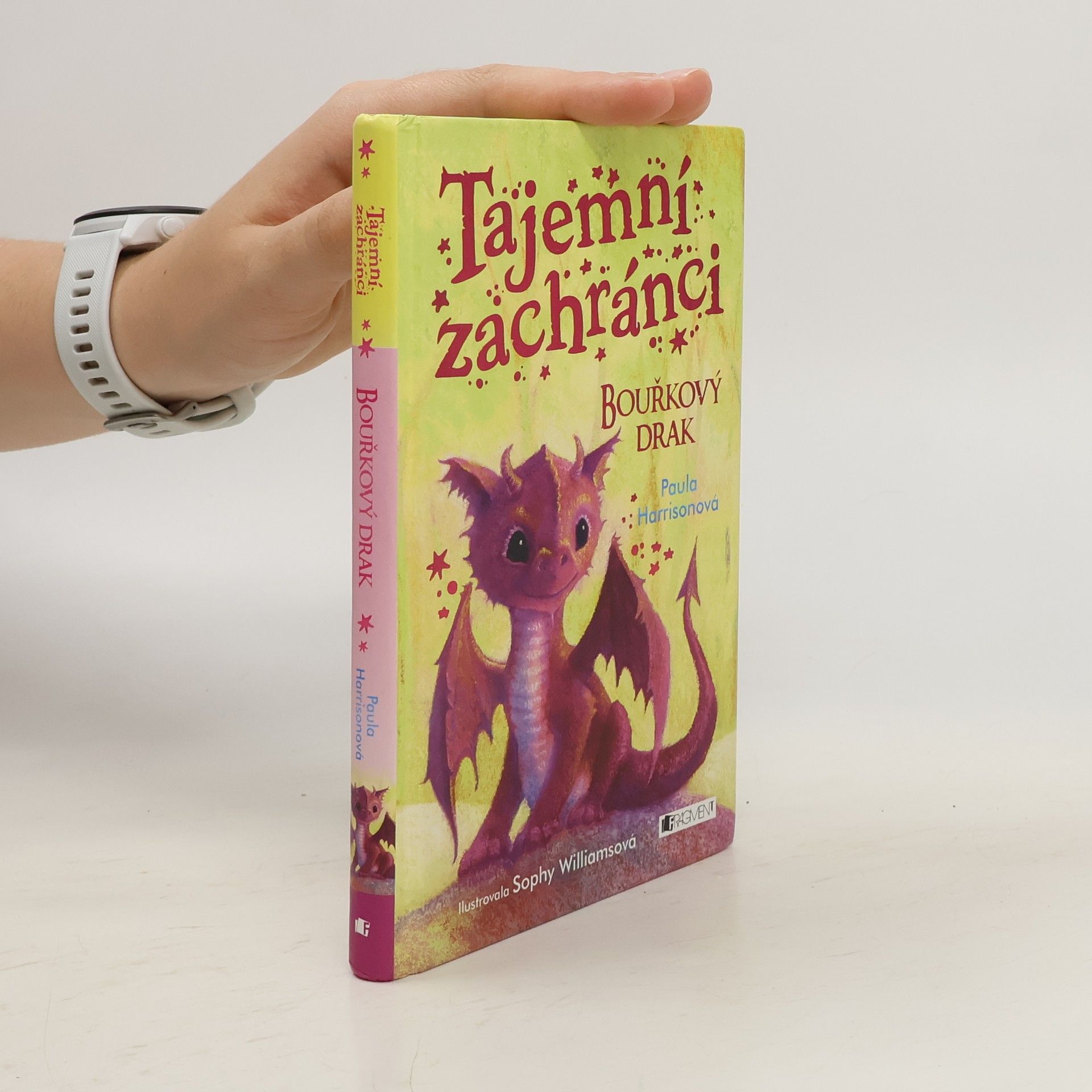 Paula Harrison Tajemní zachránci - Bouřkový drak