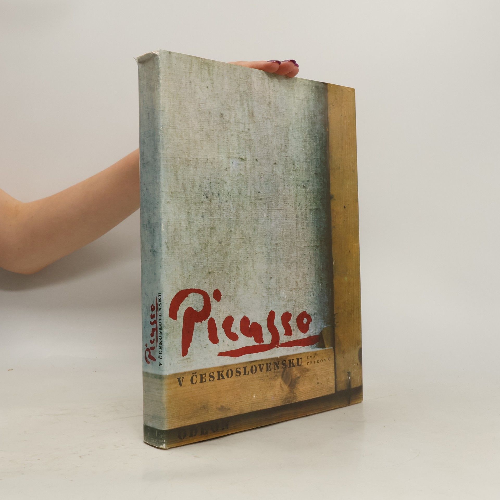 Eva Petrová Picasso v Československu