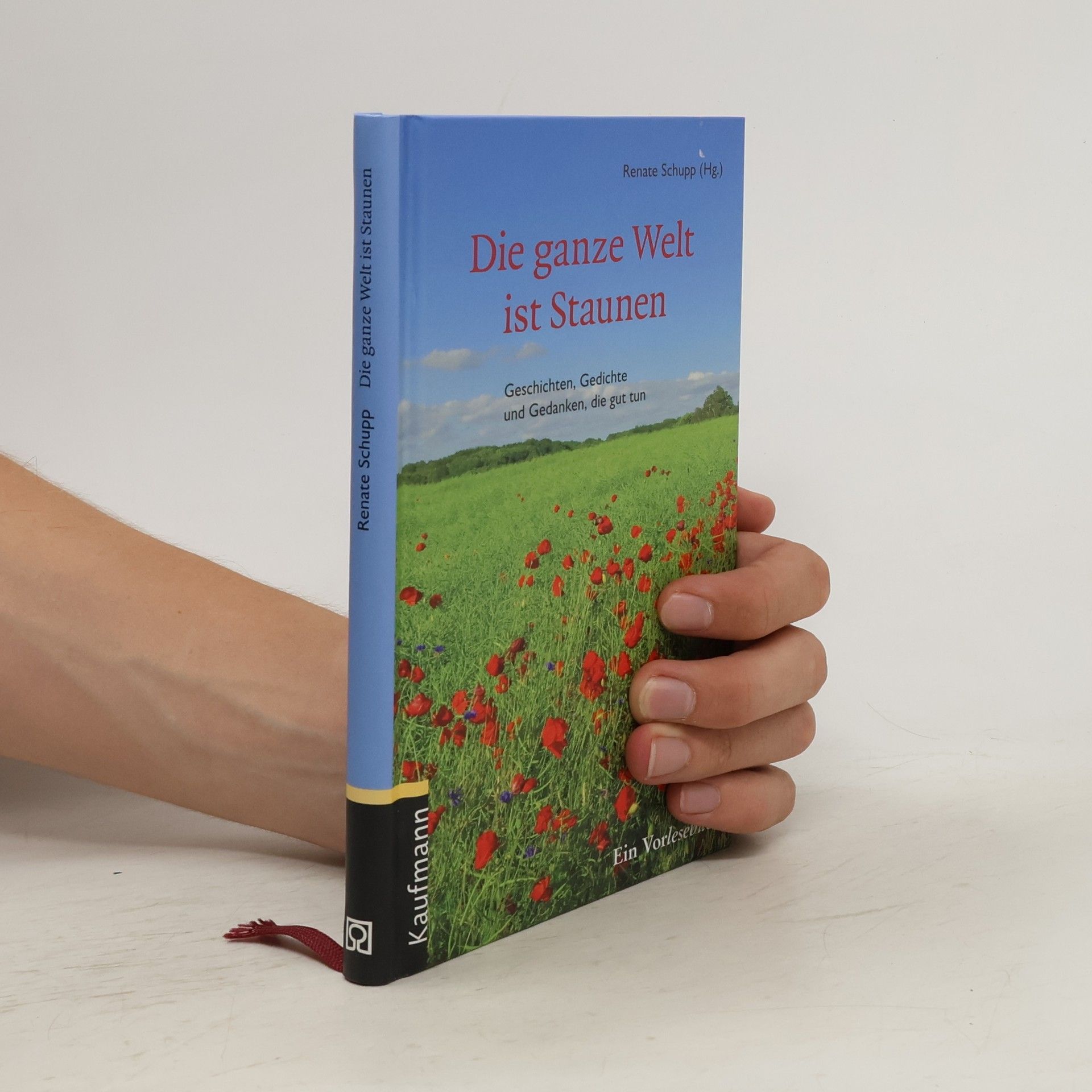 Renate Schupp Die ganze Welt ist Staunen