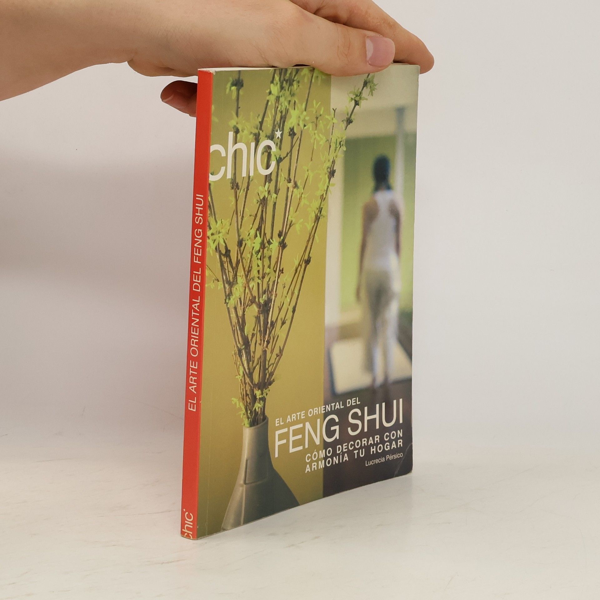 Lucrecia Pérsico El arte oriental del feng shui