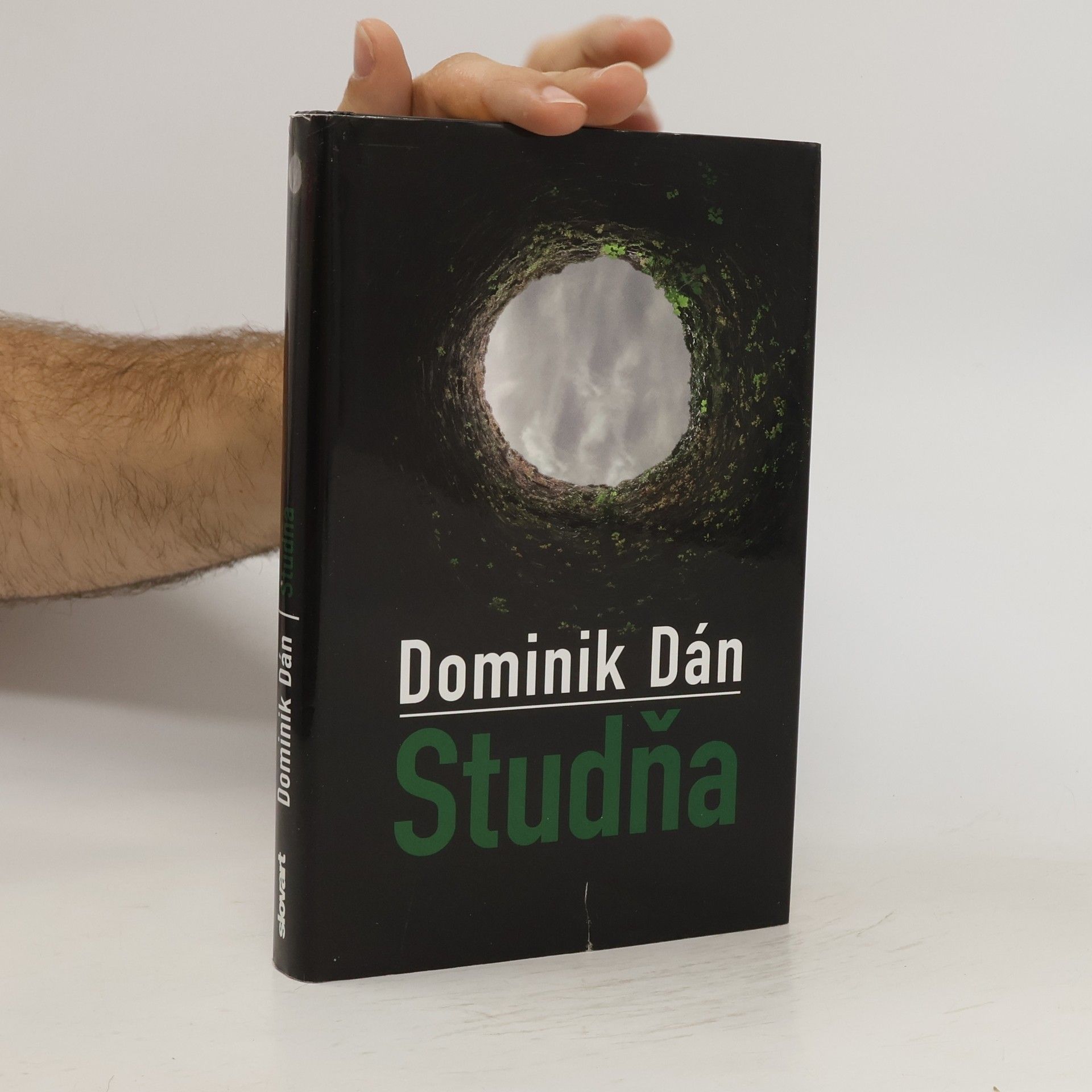Dominik Dán Studňa
