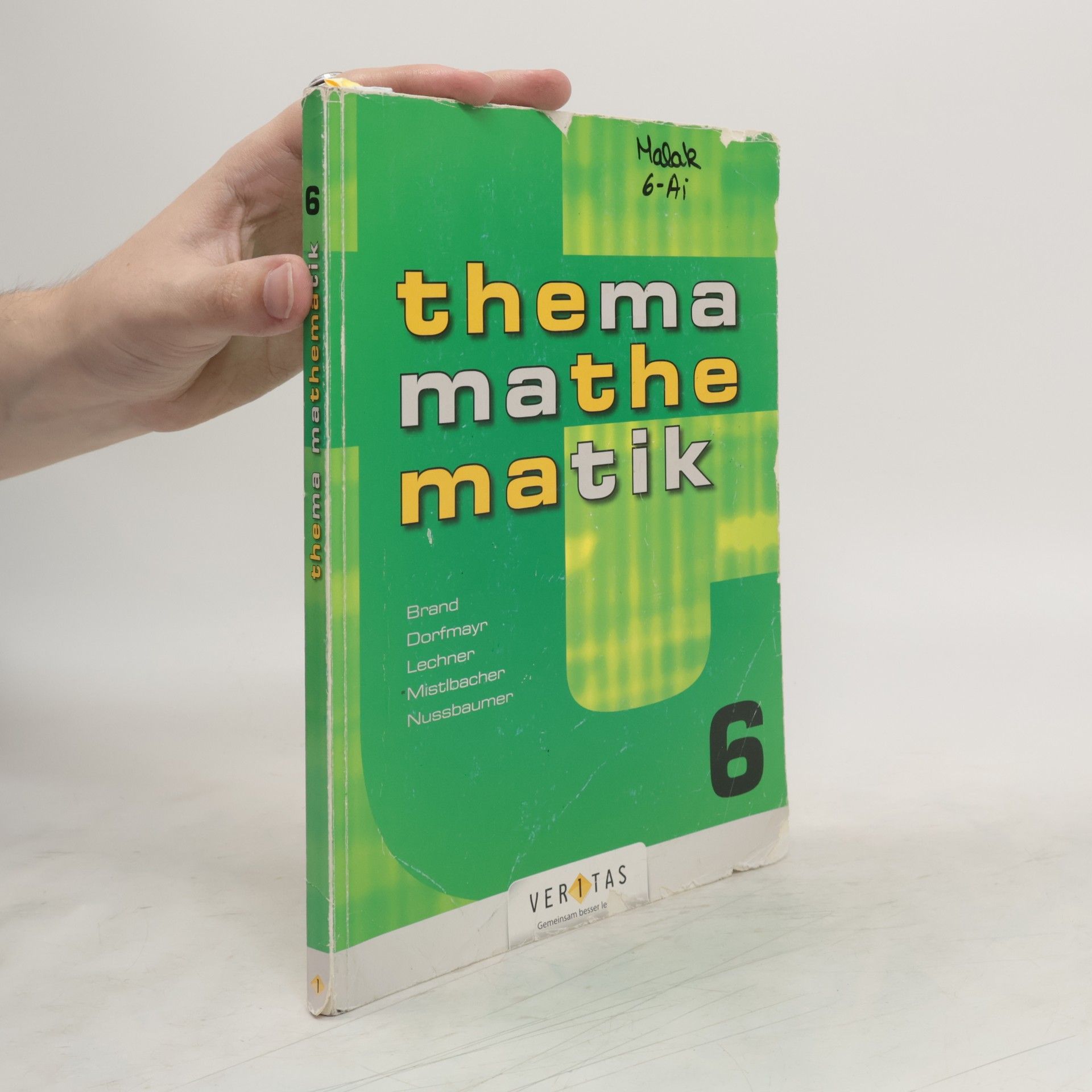 kolektiv Thema Mathematik 6