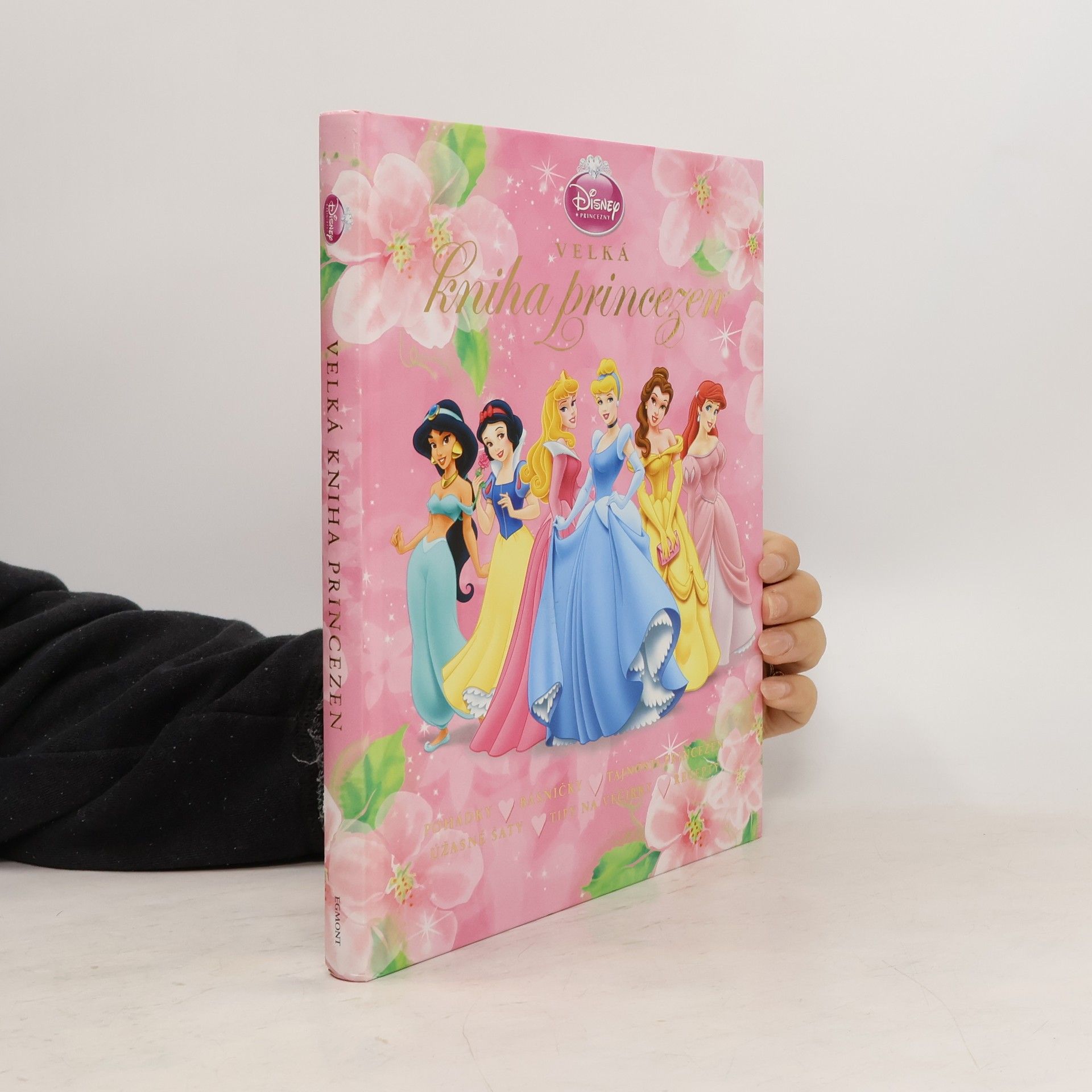 Petra Křížová Velká kniha princezen
