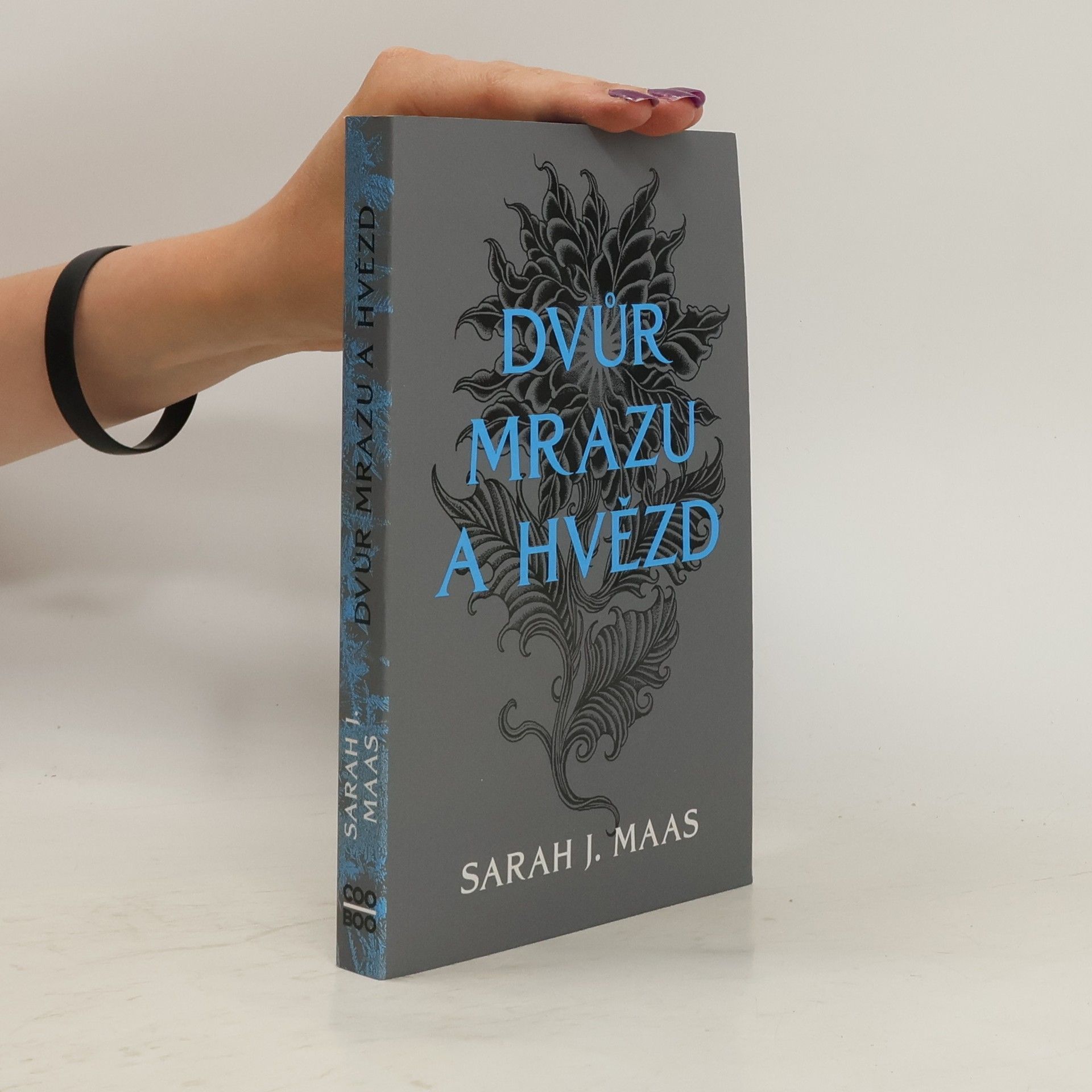 Sarah J. Maas Dvůr mrazu a hvězd