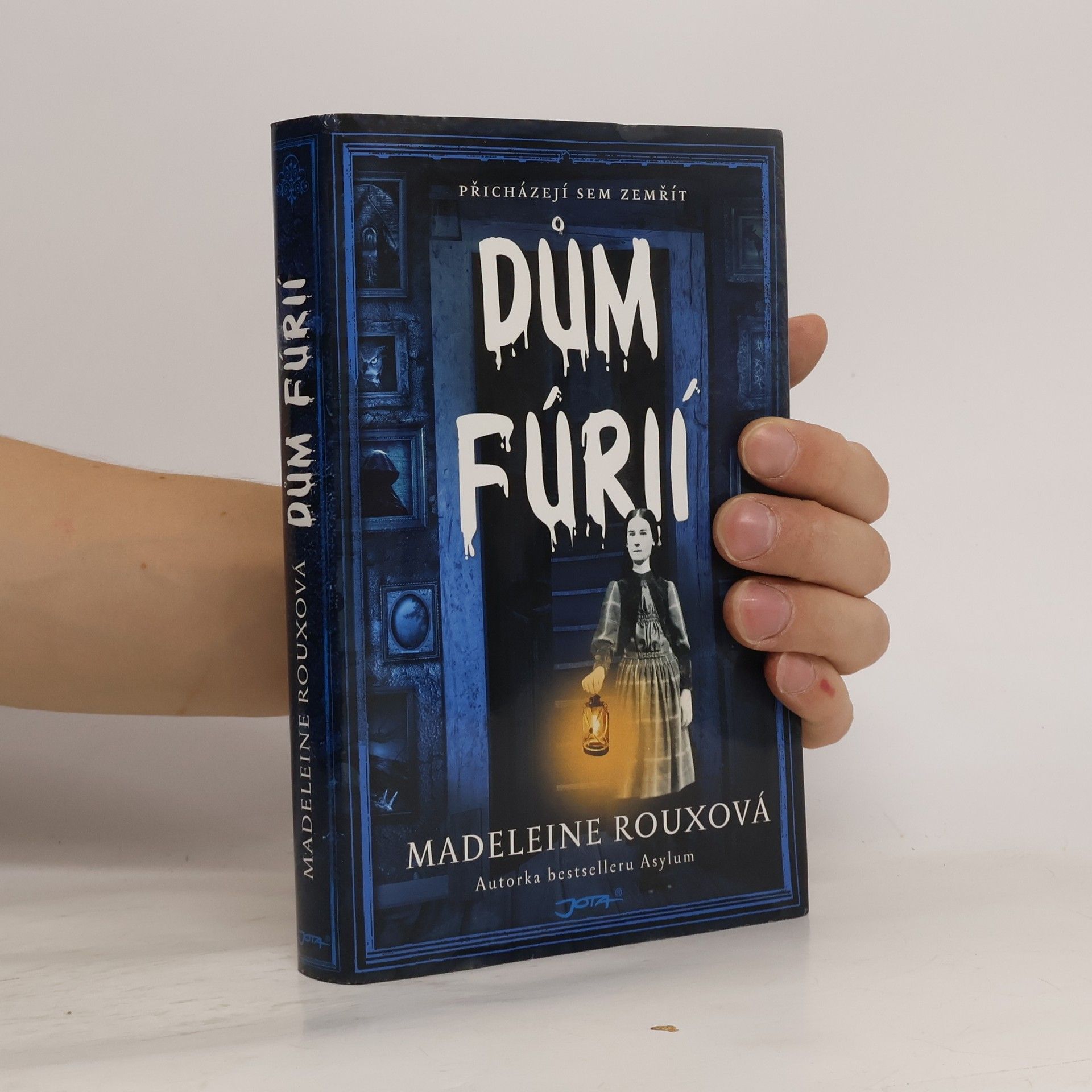 Madeleine Roux Dům fúrií