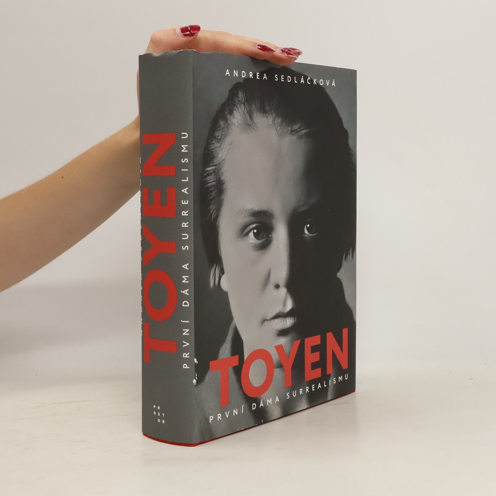 Andrea Sedláčková Toyen: první dáma surrealismu