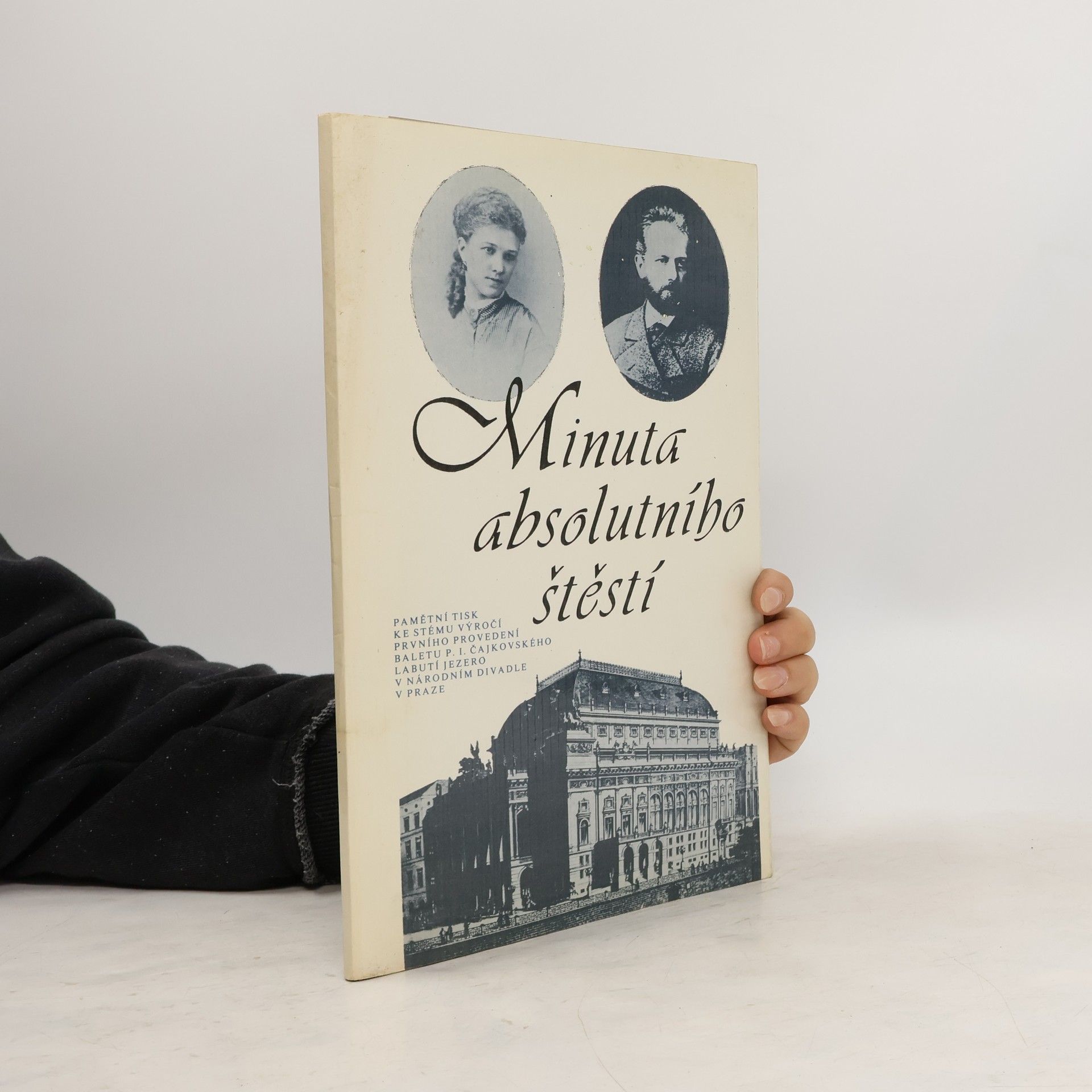 Collectif d'auteurs Minuta absolutního štěstí