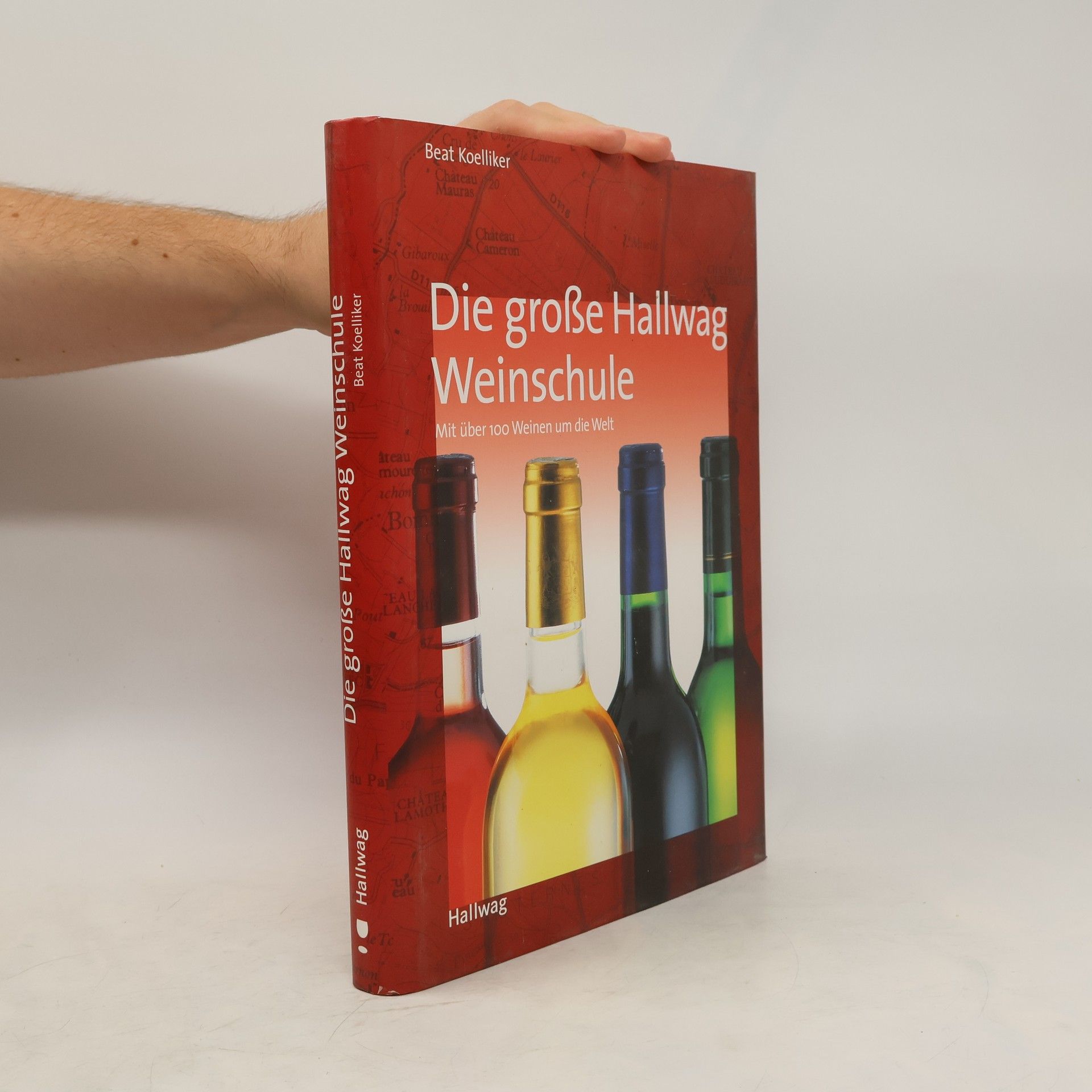 Beat Koelliker Die große Hallwag-Weinschule