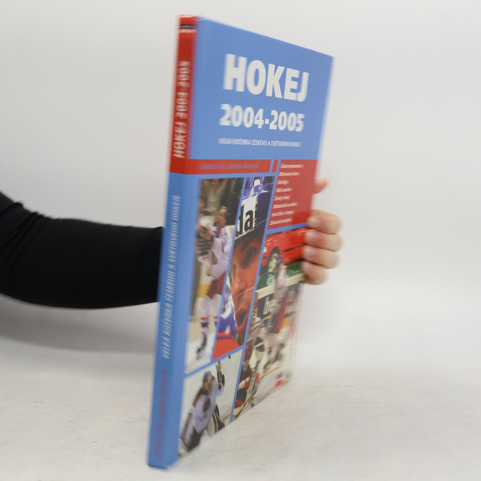 Radek Vičík Hokej 2004-2005