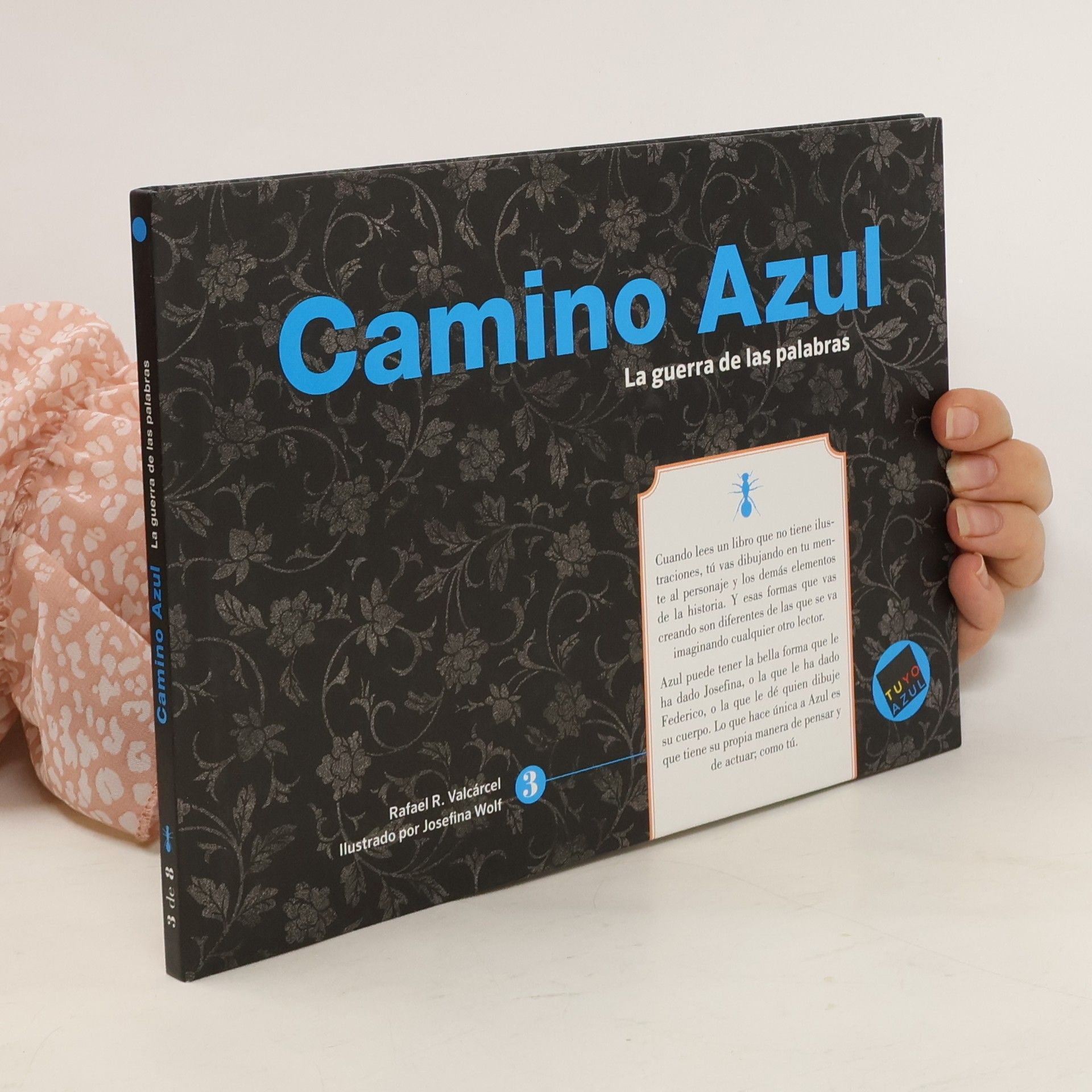 Rafael R. Valcárcel Camino azul