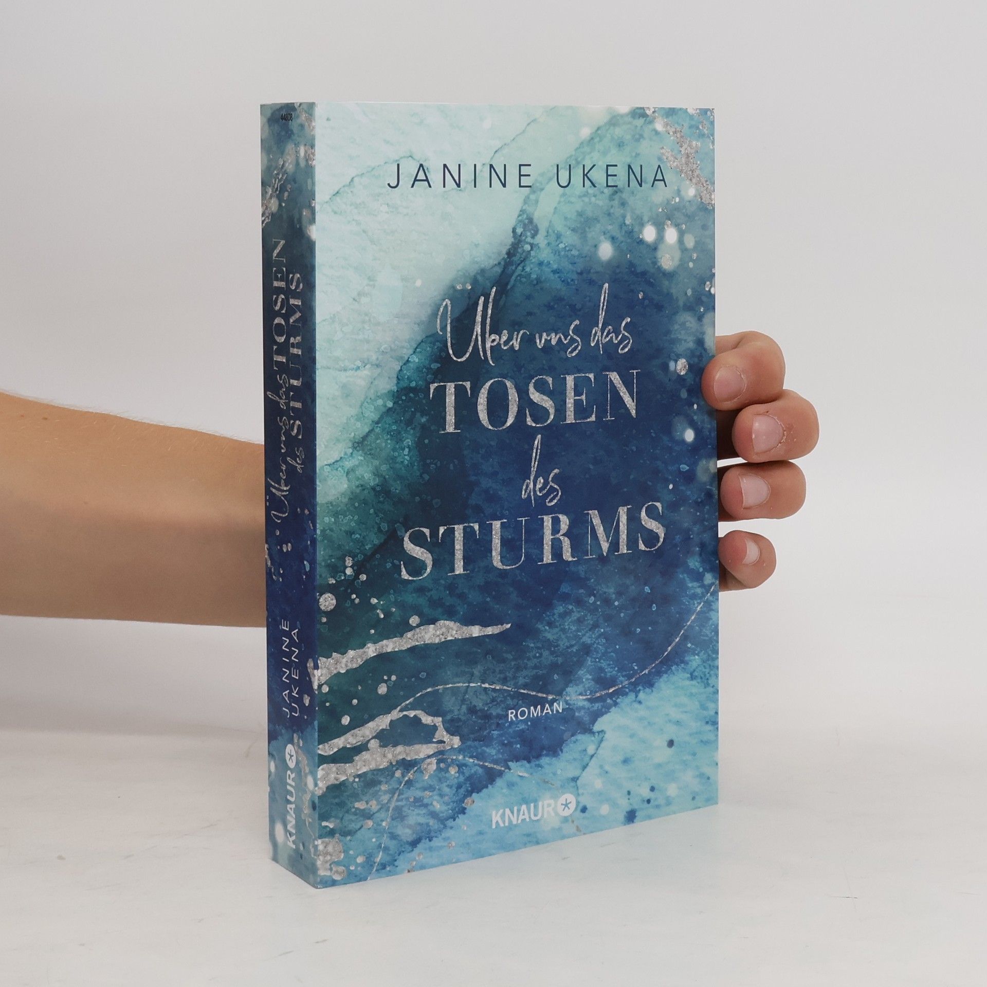 Janine Ukena Über uns das Tosen des Sturms