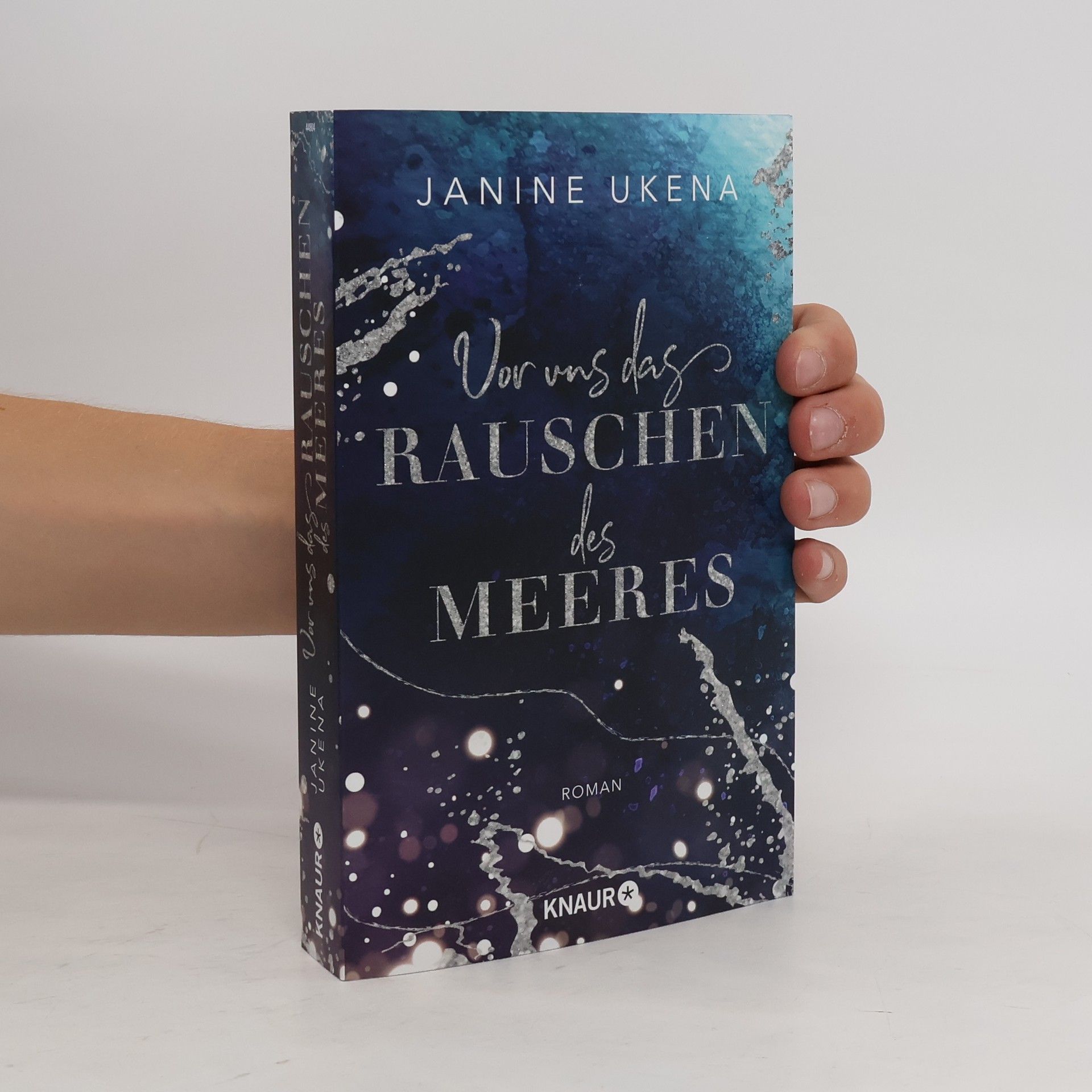 Janine Ukena Vor uns das Rauschen des Meeres