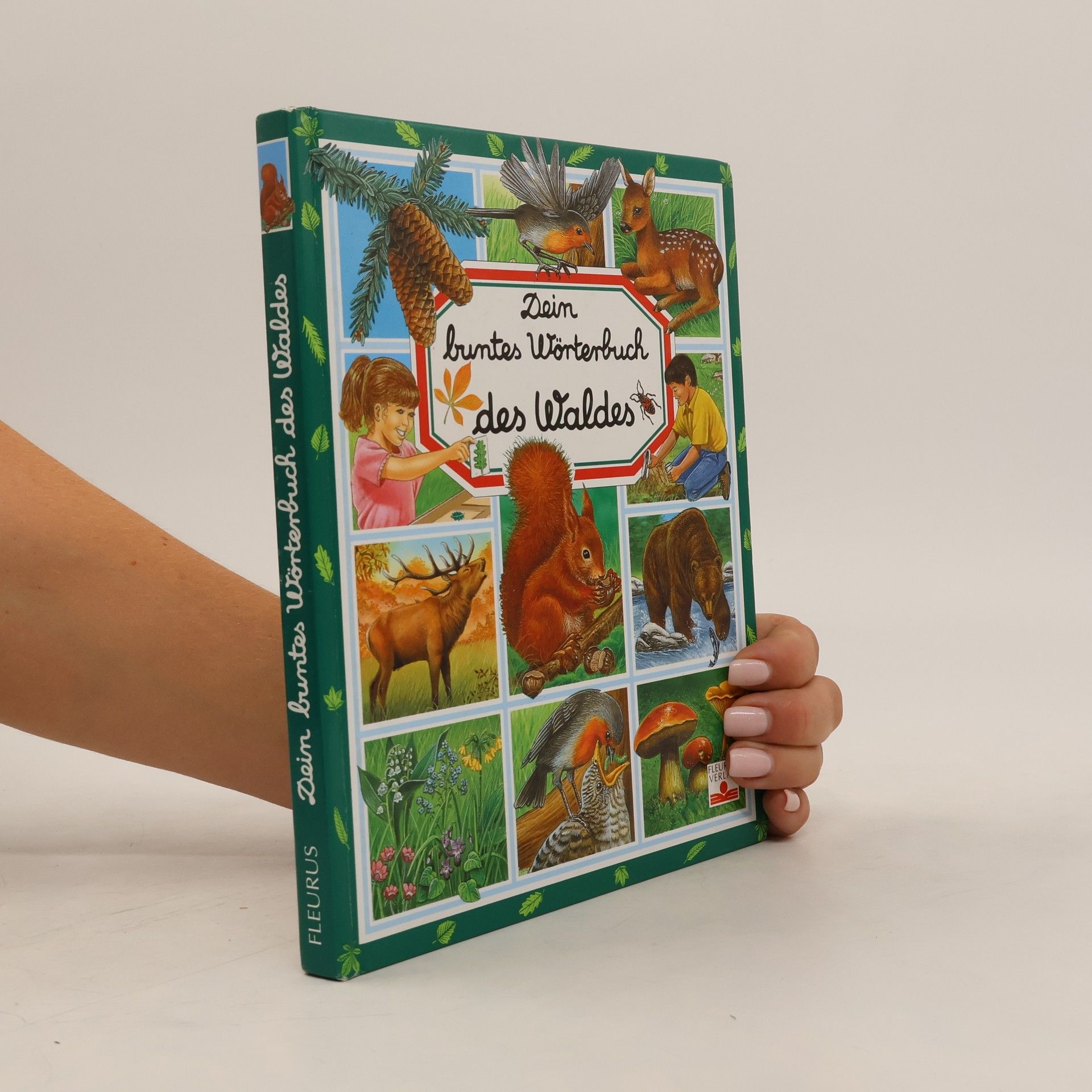 Marie-Renée Pimont Dein buntes Wörterbuch des Waldes