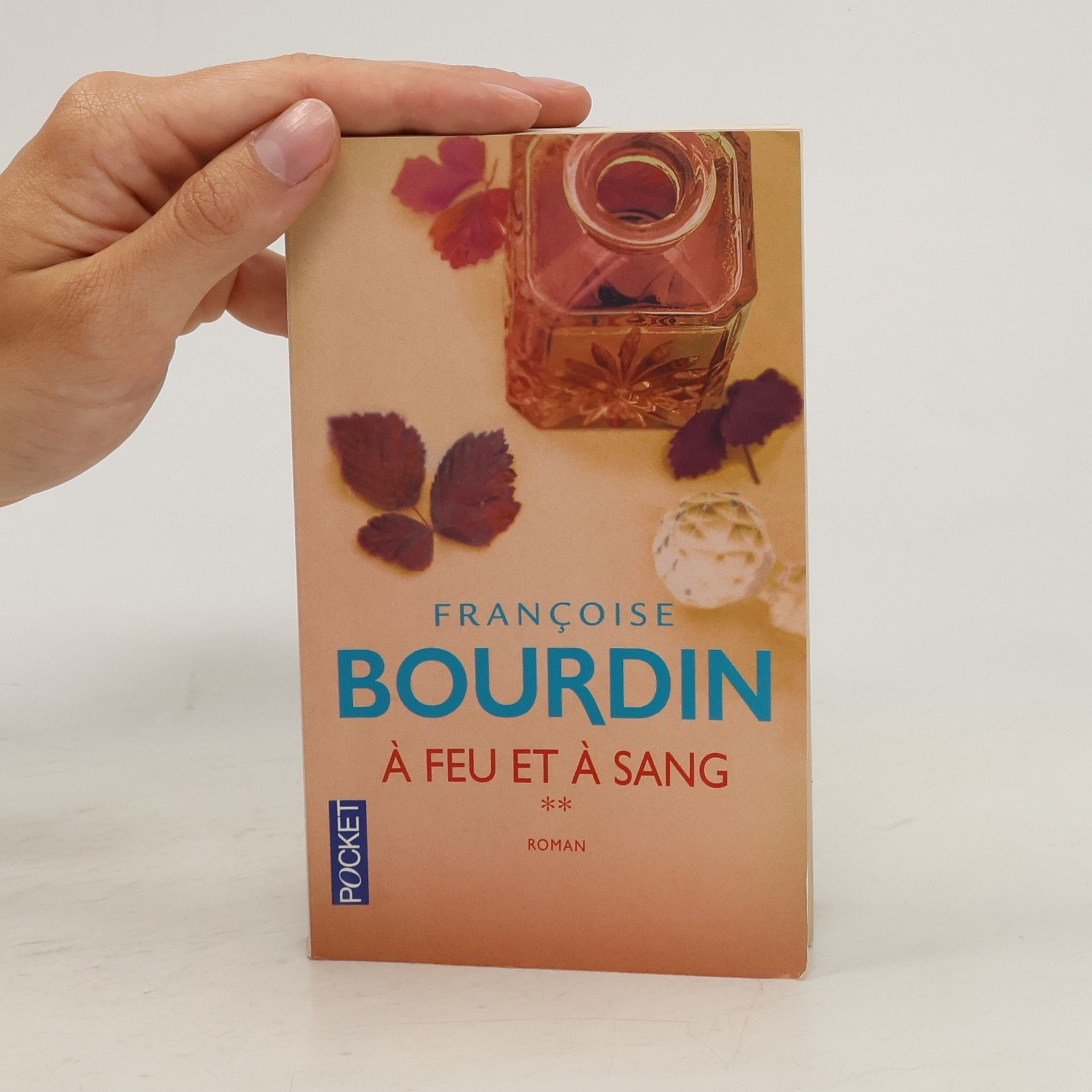 Françoise Bourdin A feu et à sang