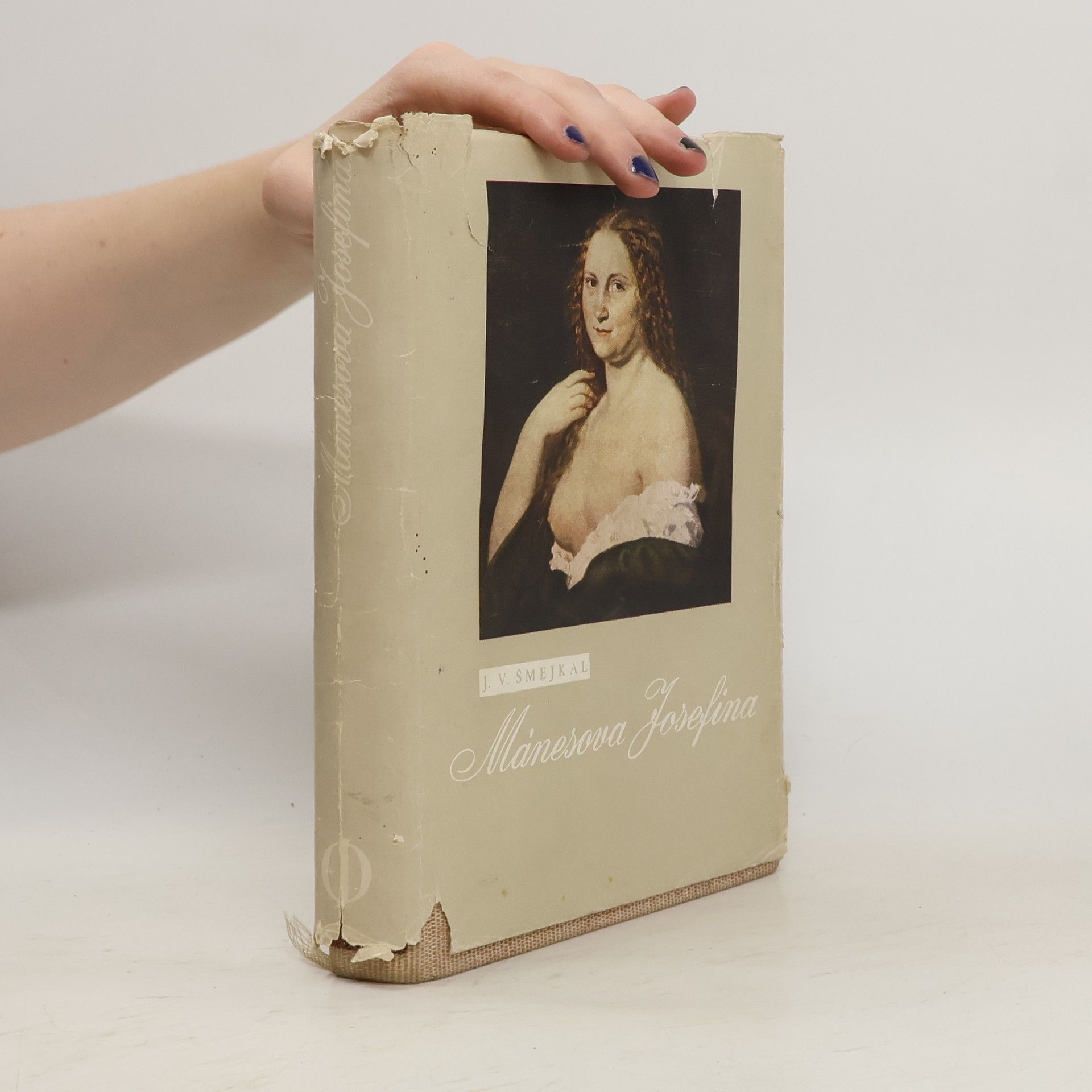 Jaromír Václav Šmejkal Mánesova Josefina (1848-1855). 2. část staropražské trilogie