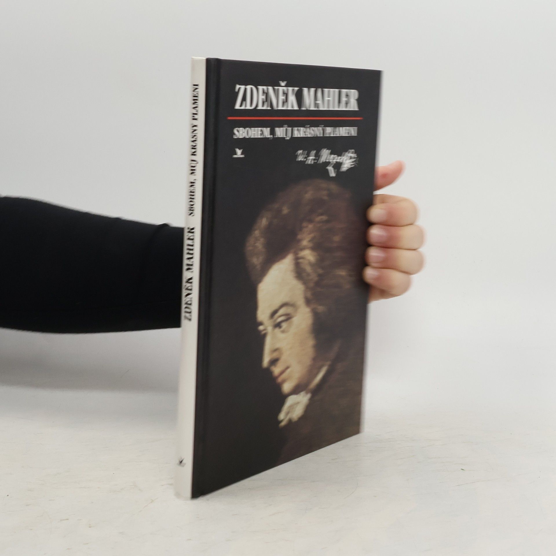 Zdeněk Mahler Sbohem, můj krásný plameni