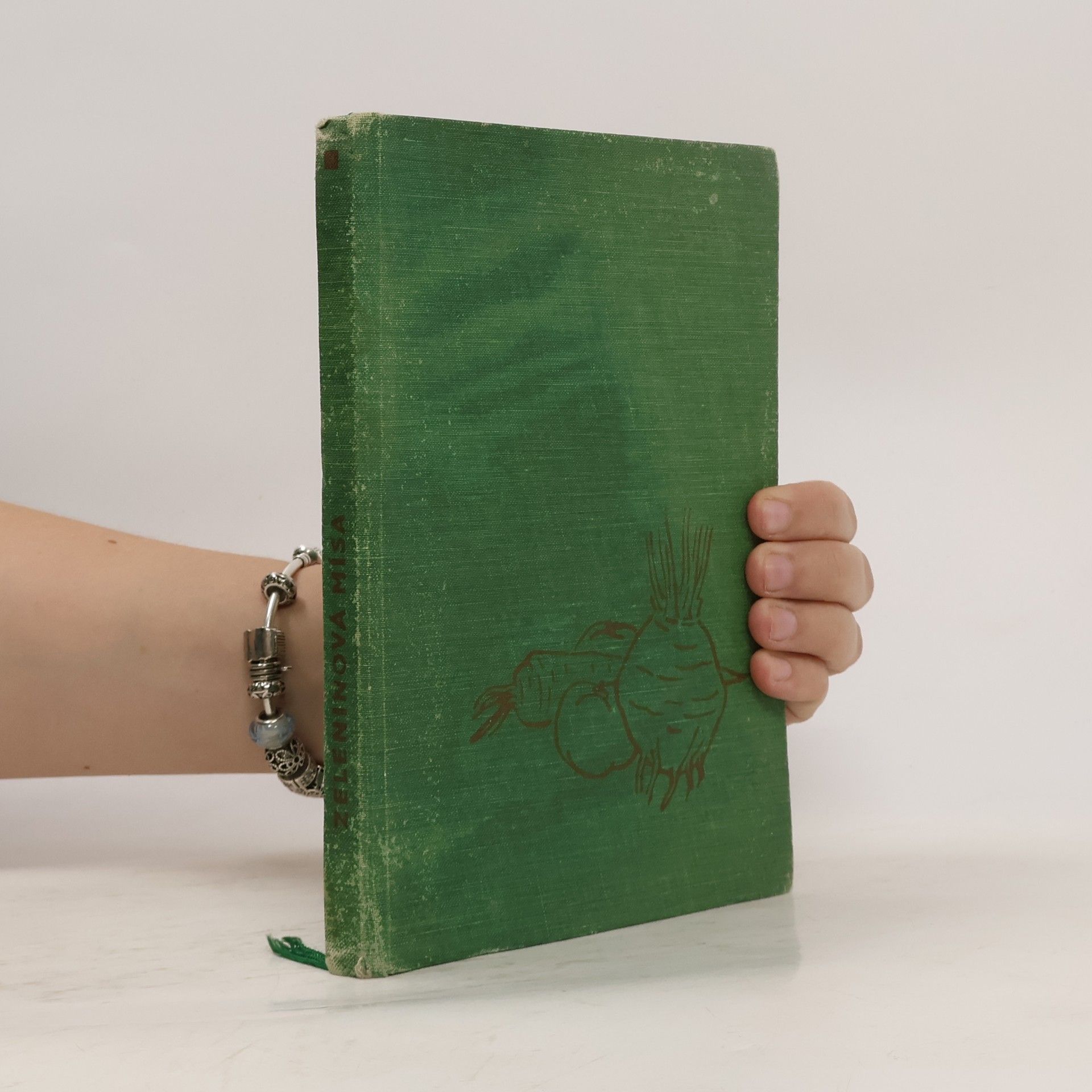 Collectif d'auteurs Zeleninová mísa