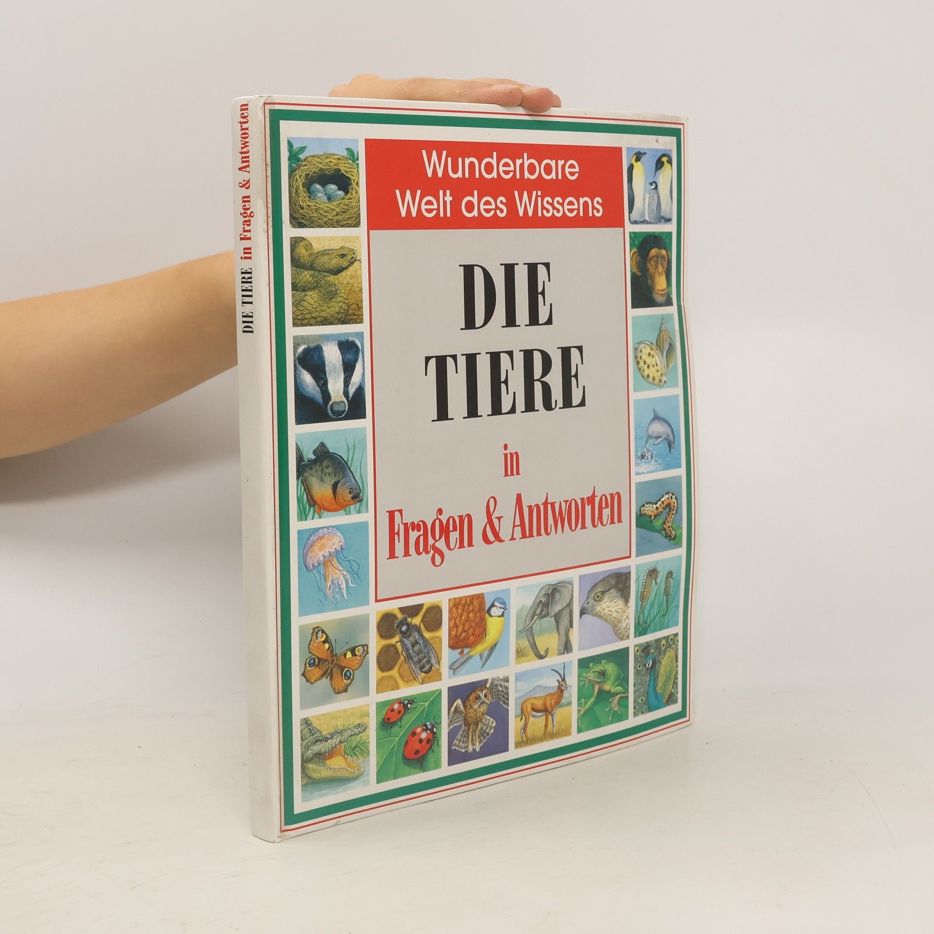 Michele Stable Die Tiere in Fragen & Antworten