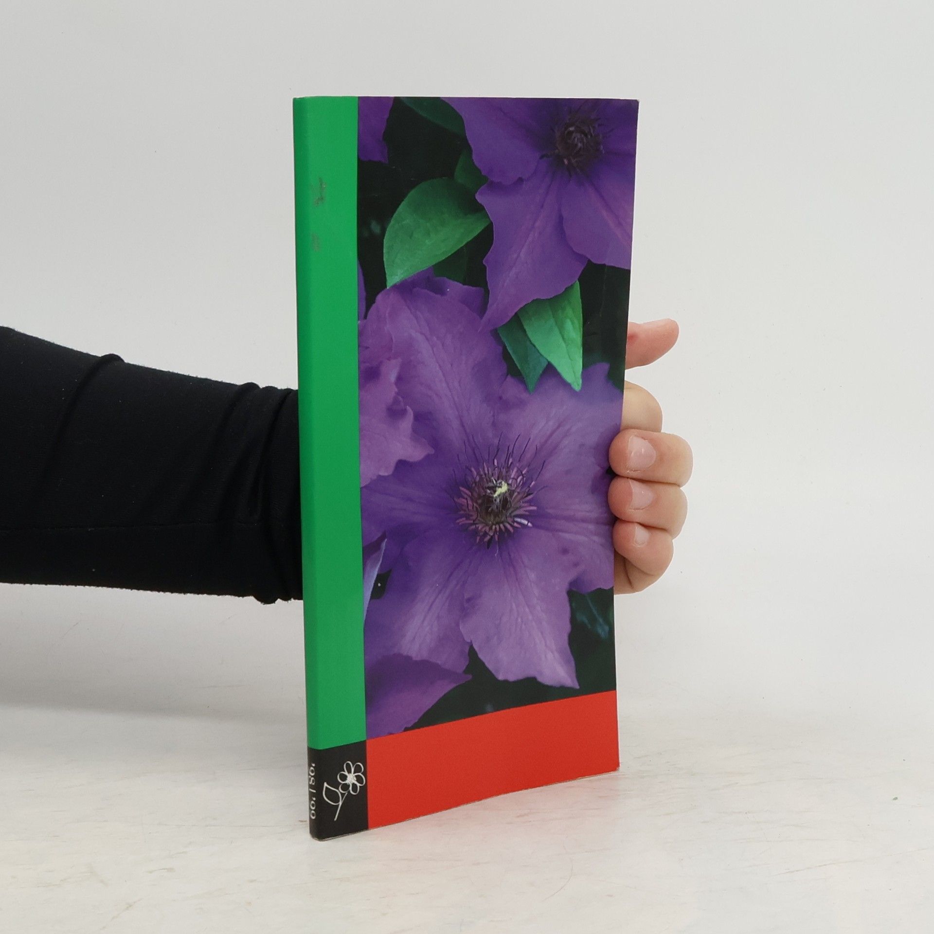 Collectif d'auteurs Tuinplanten - Bloemenbureau Holland