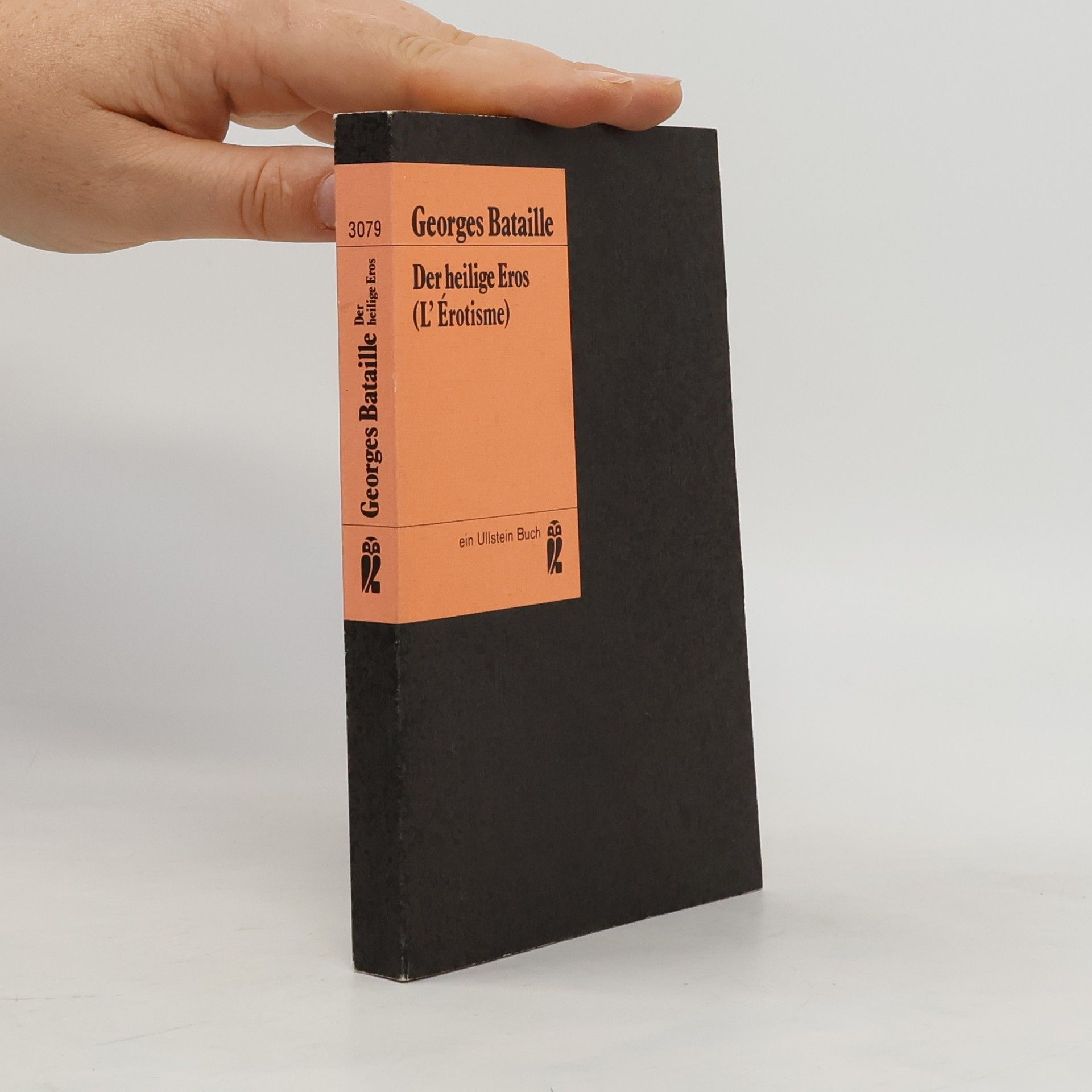 Georges Bataille Das theoretische Werk