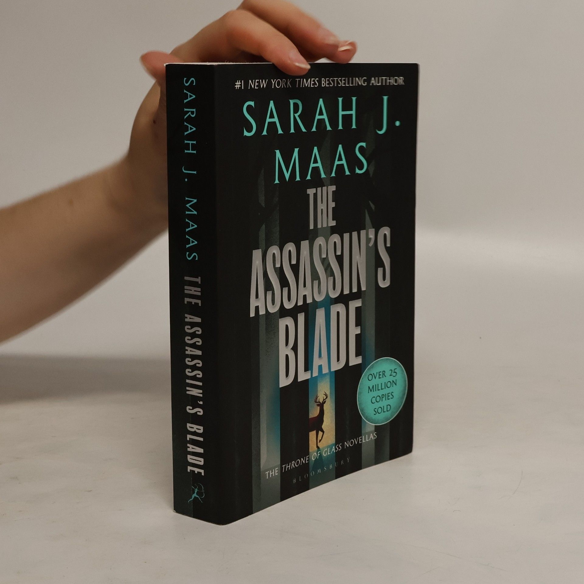 Sarah J. Maas The Assassin's Blade