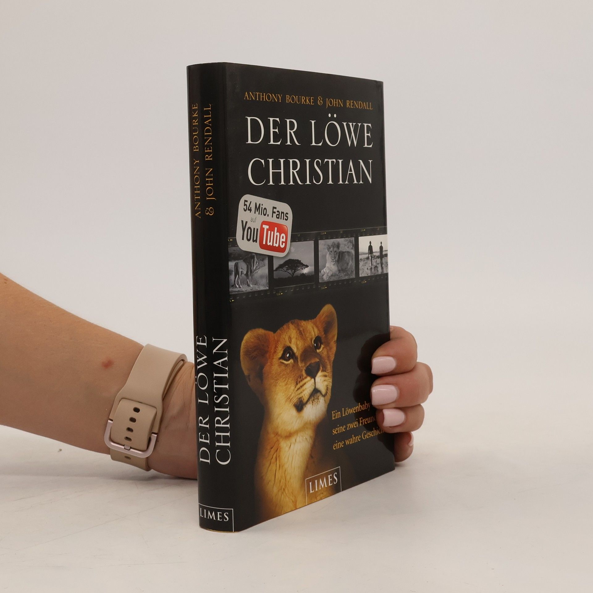 Anthony Bourke Der Löwe Christian