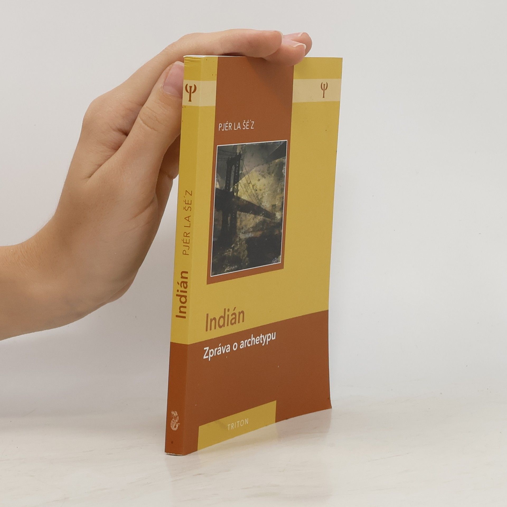 Pjér la Šéz Indián: Zpráva o archetypu