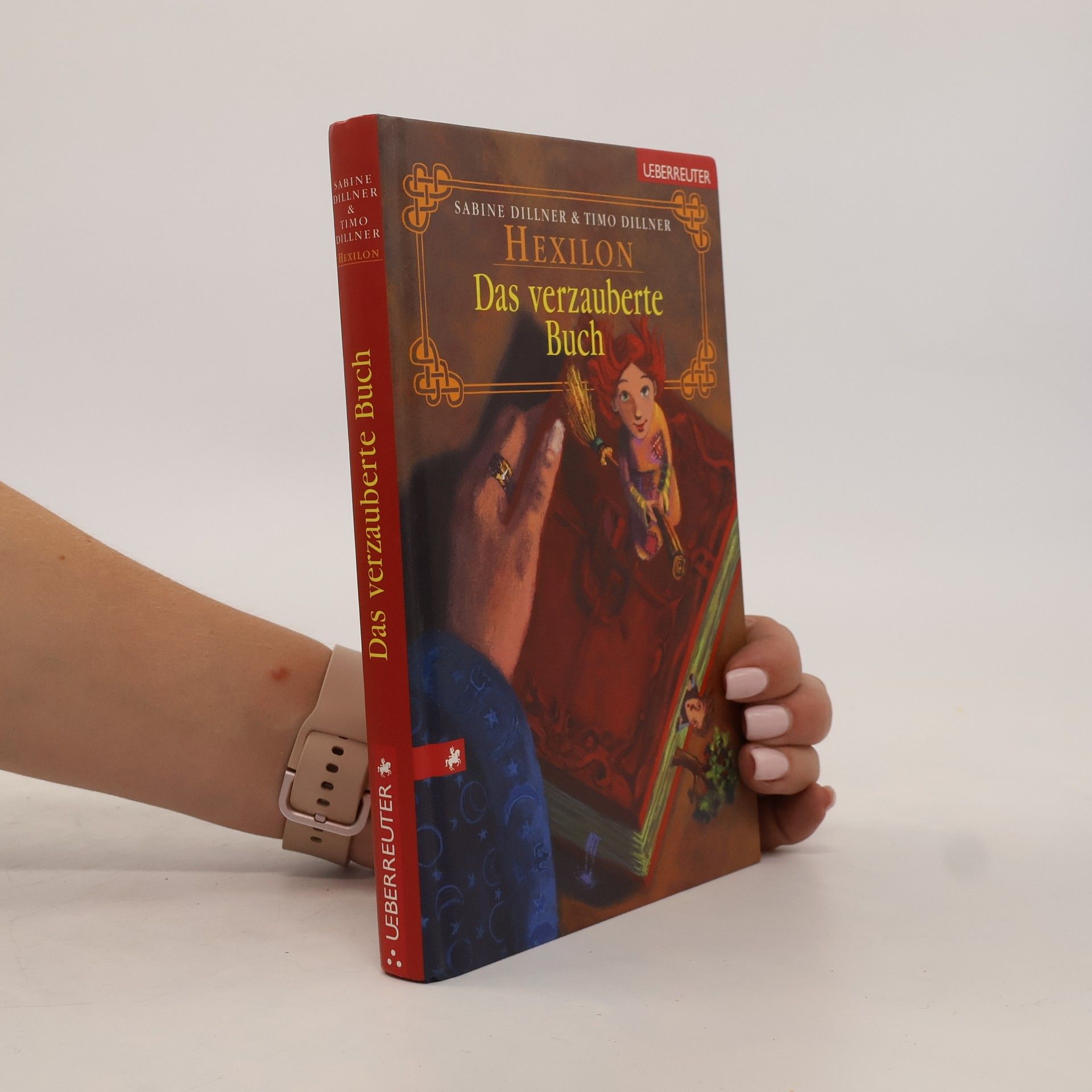 Sabine Dillner Das verzauberte Buch