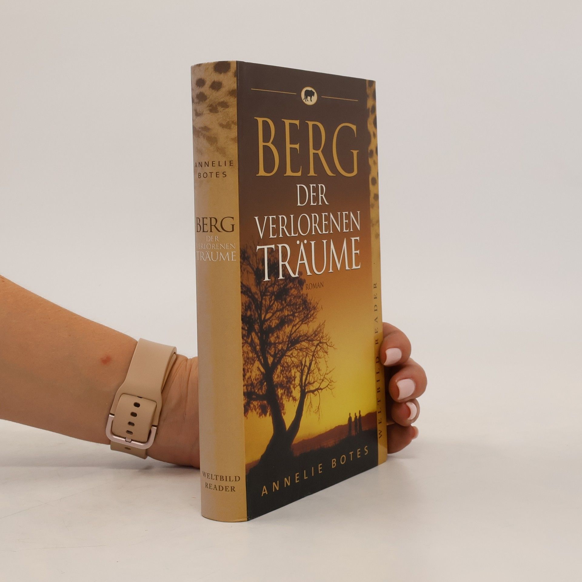 Annelie Botes Berg der verlorenen Träume