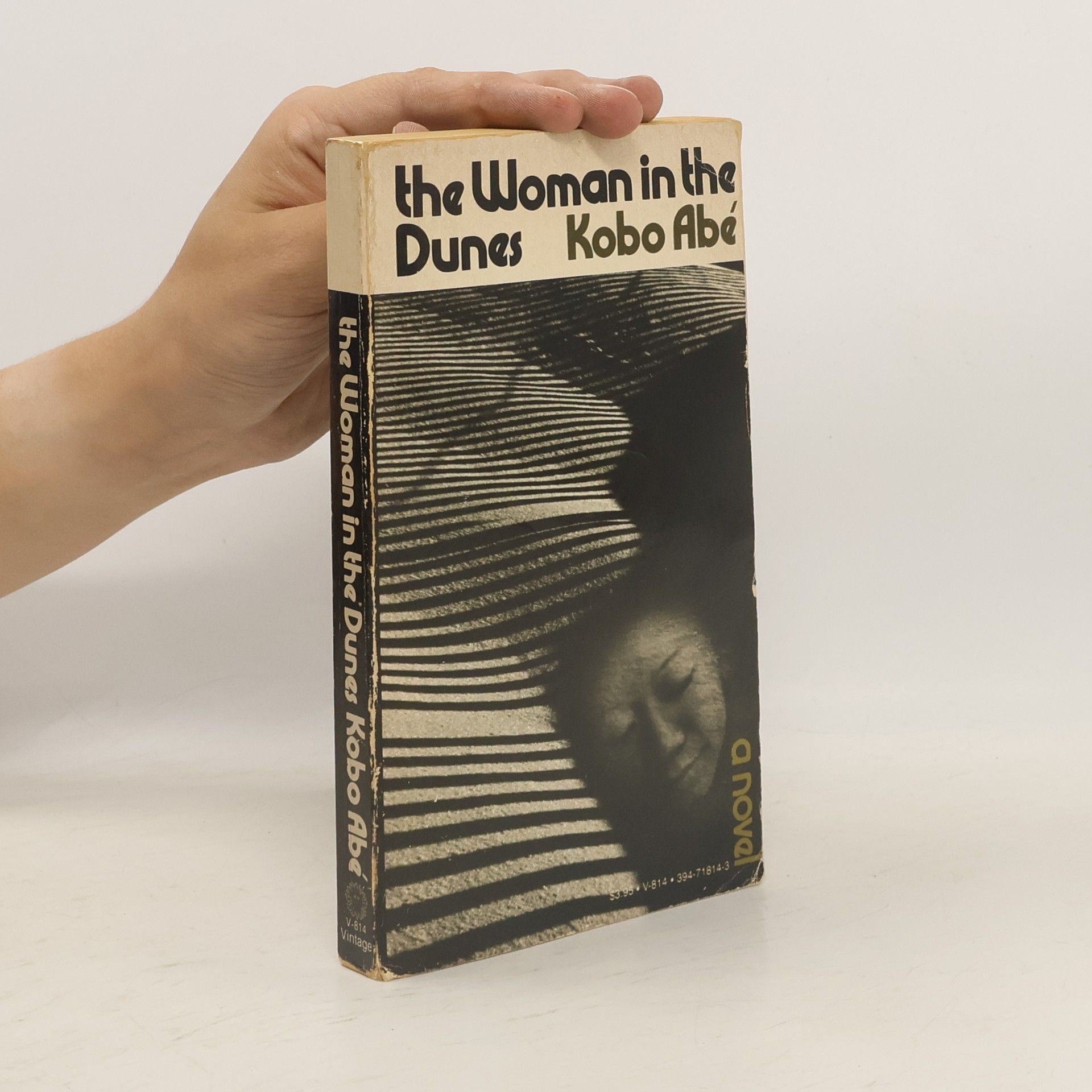 Kōbō Abe The Woman in the Dunes