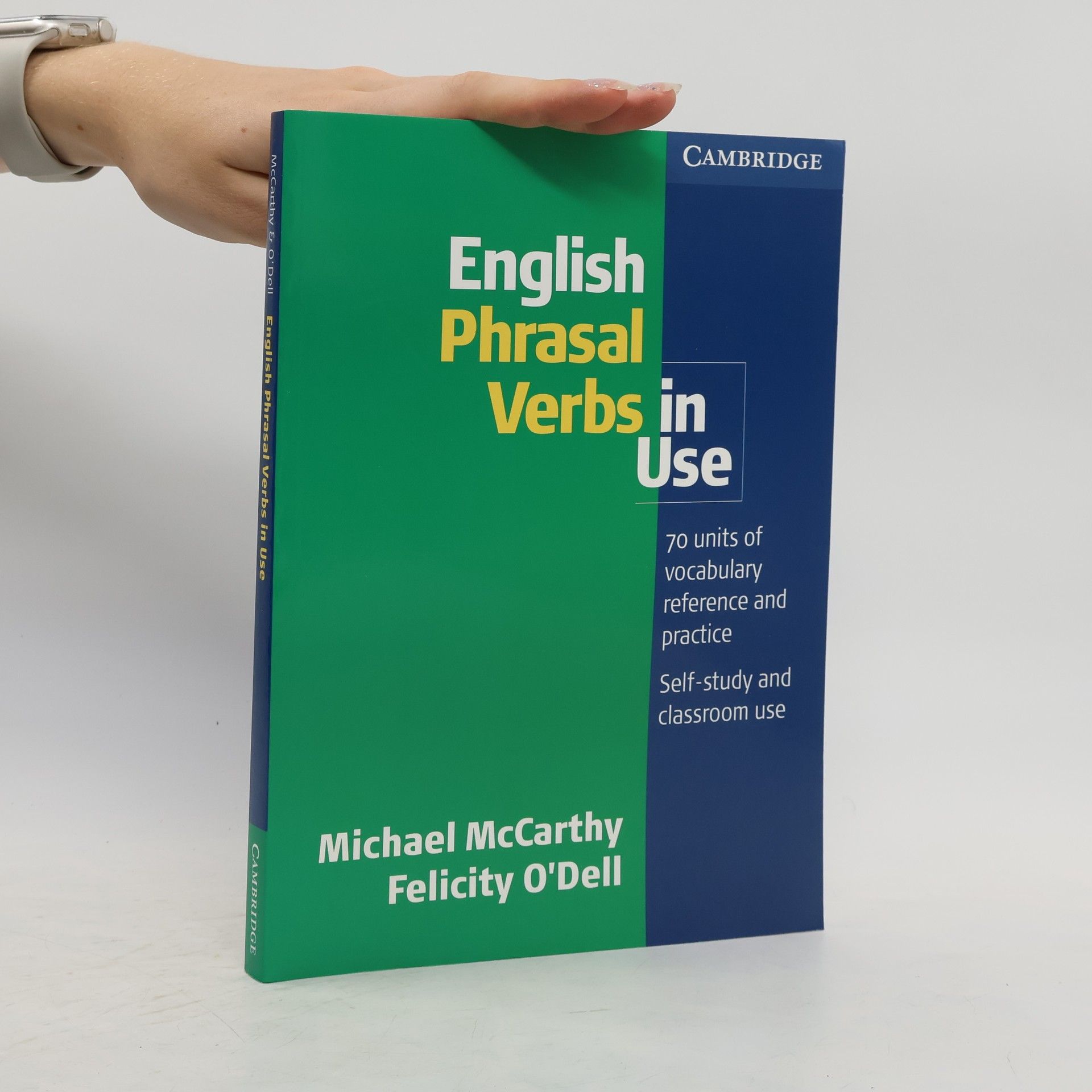 Michael McCarthy English Phrasal Verbs in Use