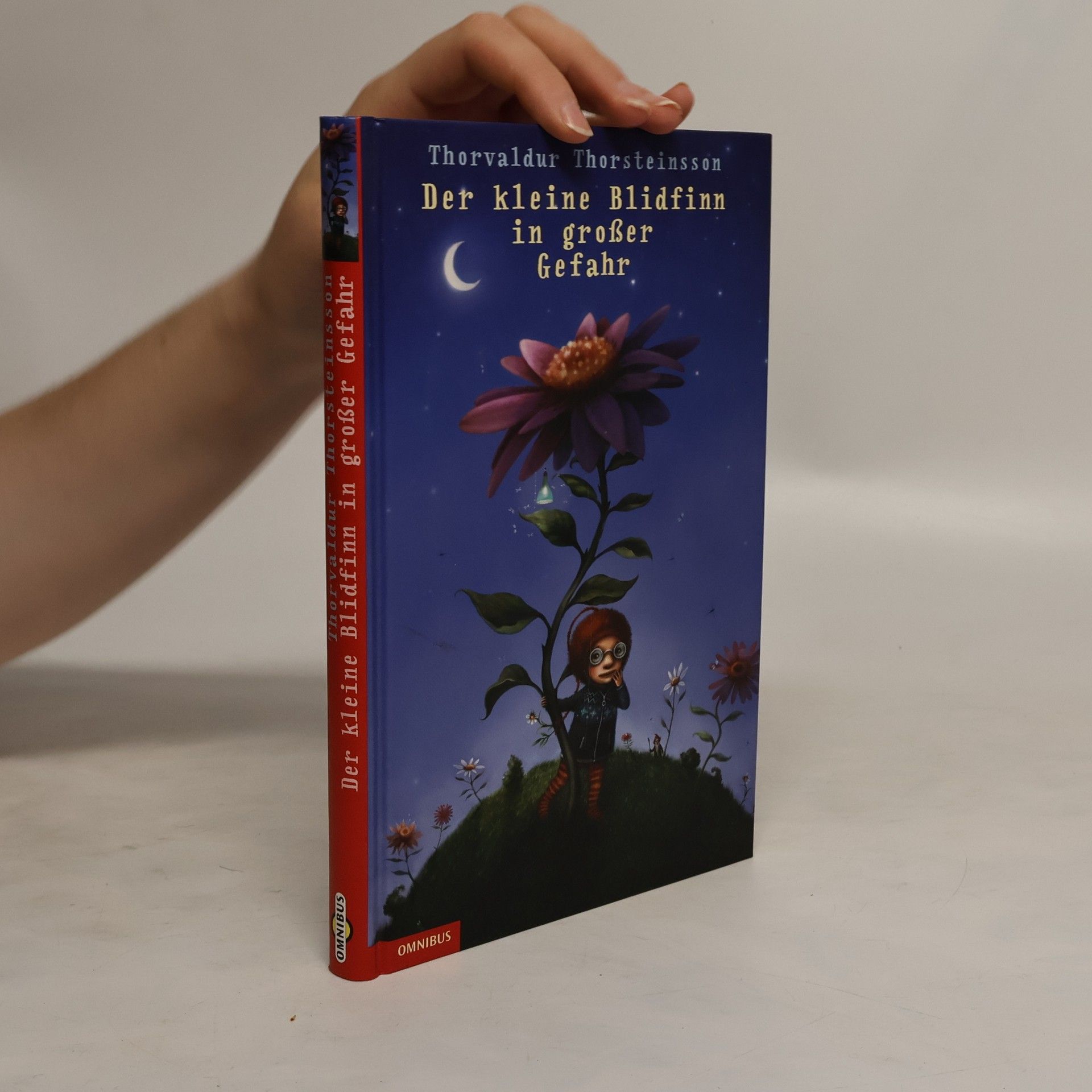Thorvaldur Thorsteinsson Der kleine Blidfinn in großer Gefahr