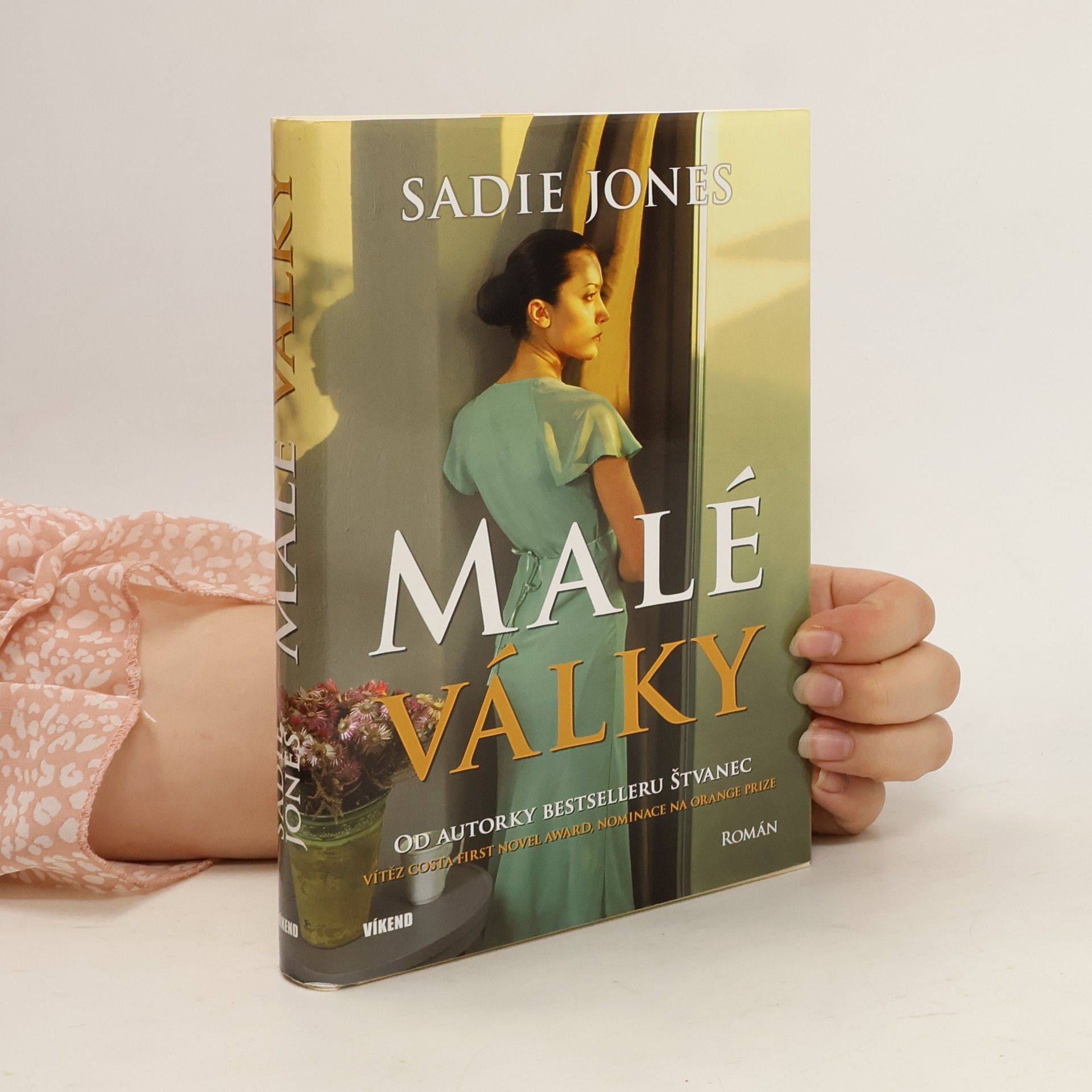 Sadie Jones Malé války