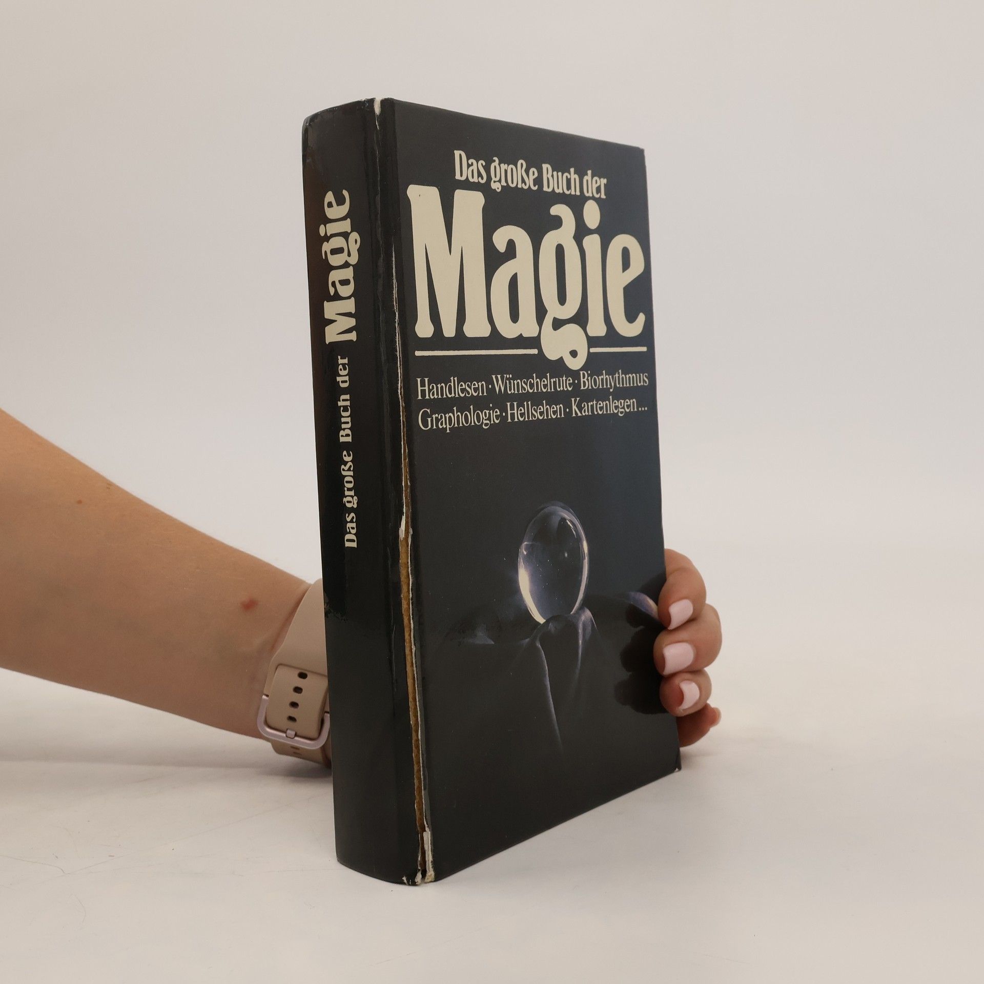 Collectif d'auteurs Das große Buch der Magie