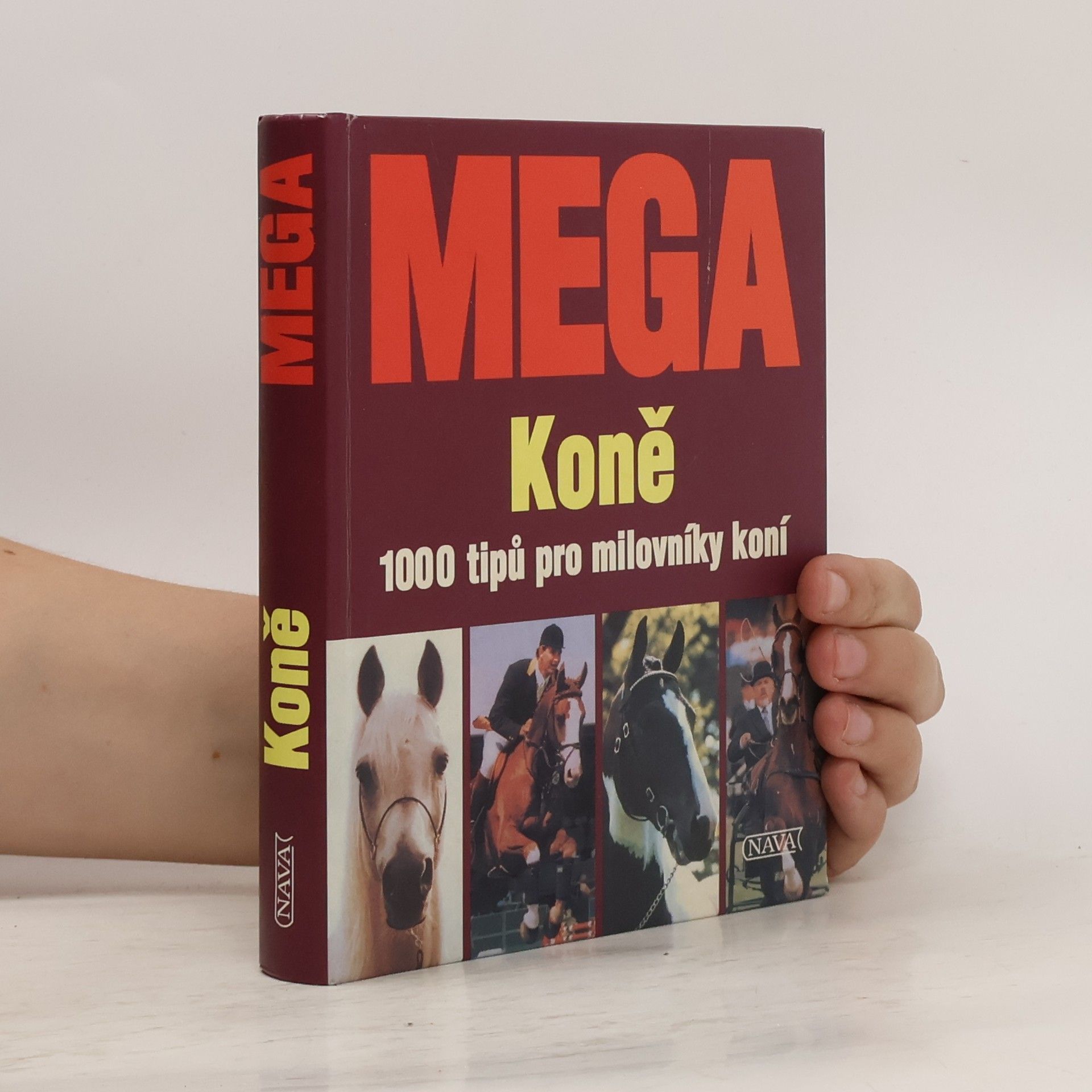 Edgar Wüpper Mega: Koně