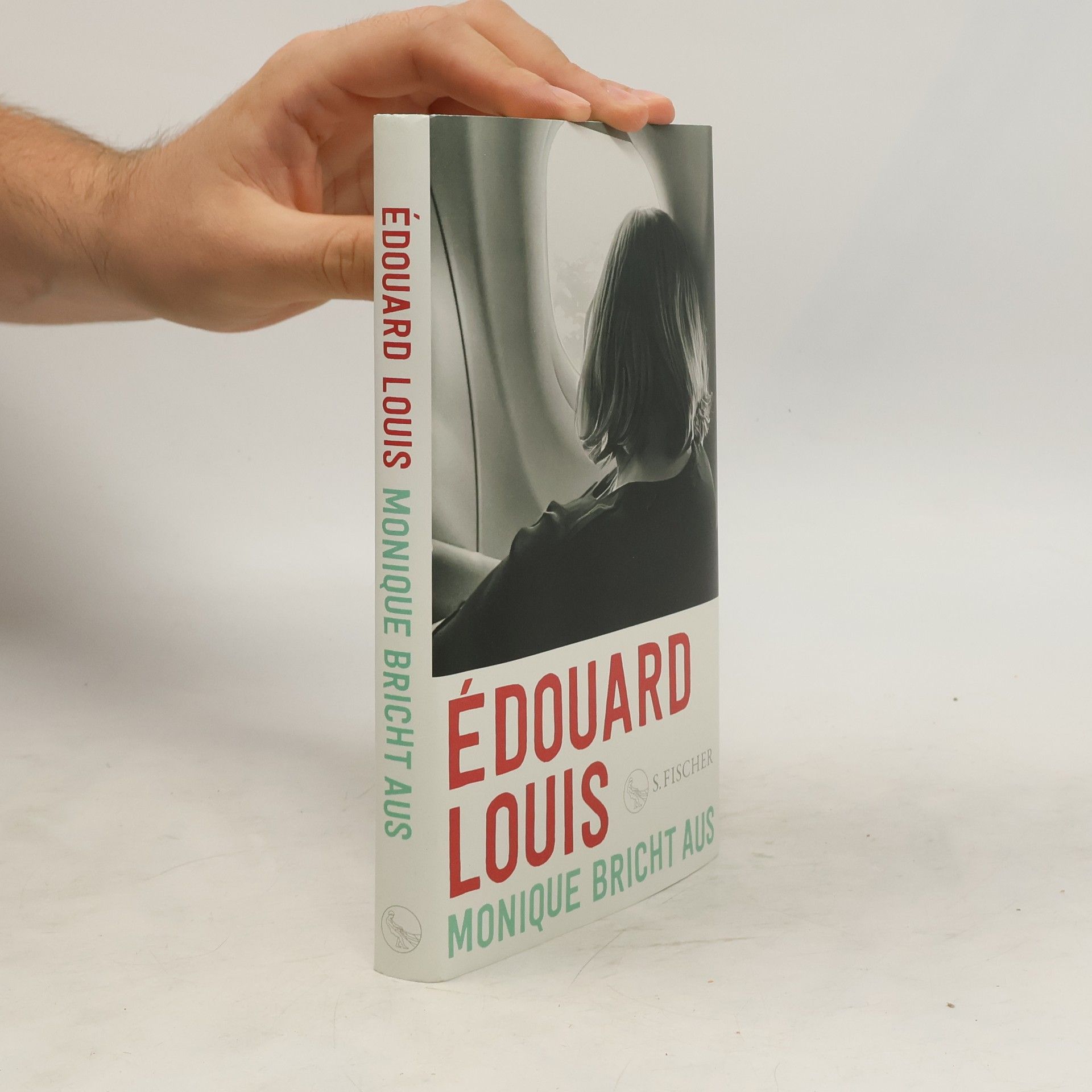 Édouard Louis Monique bricht aus