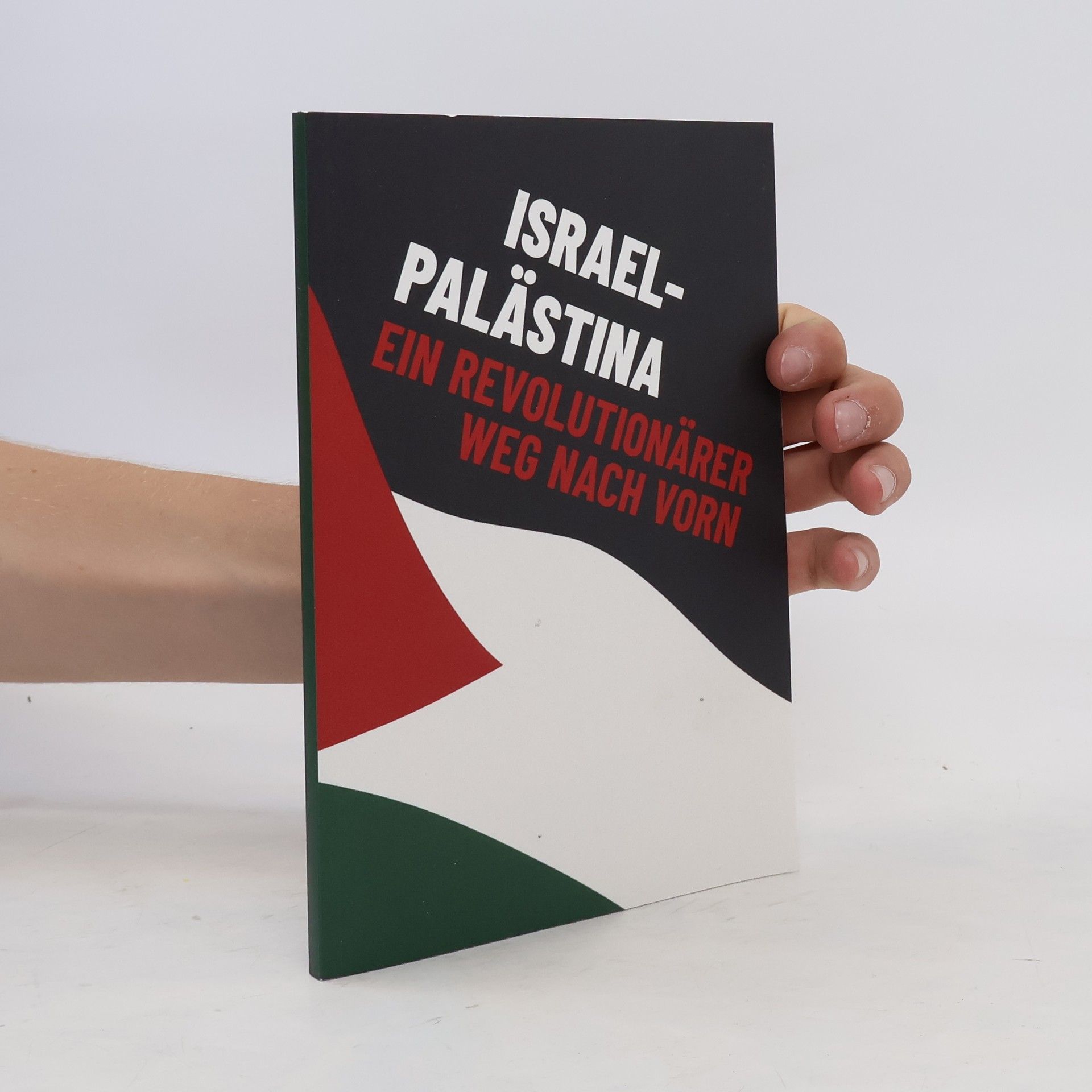Autores varios Israel-Palästina. Ein revolutionärer Weg nach vorn