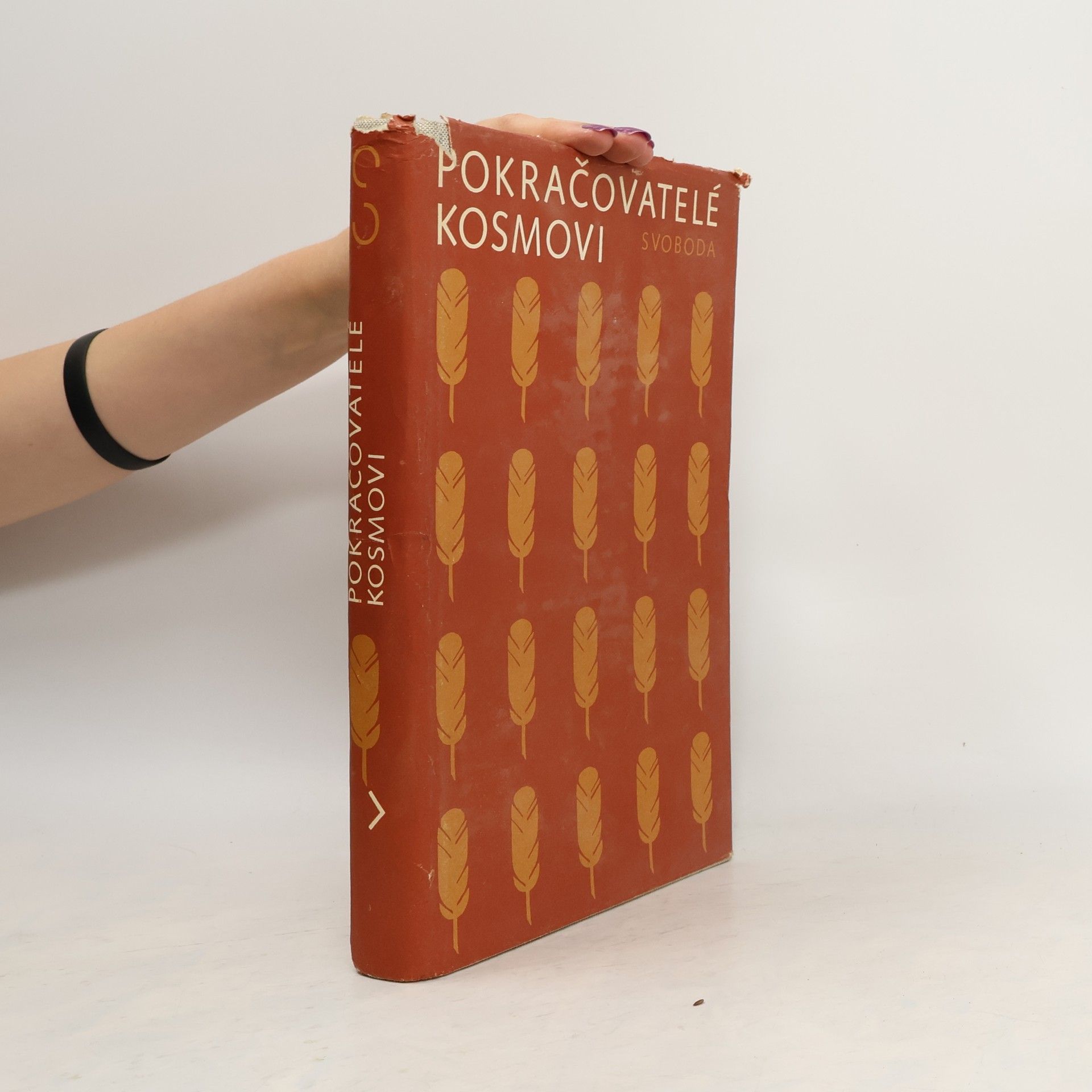 Zdeněk Fiala Pokračovatelé Kosmovi