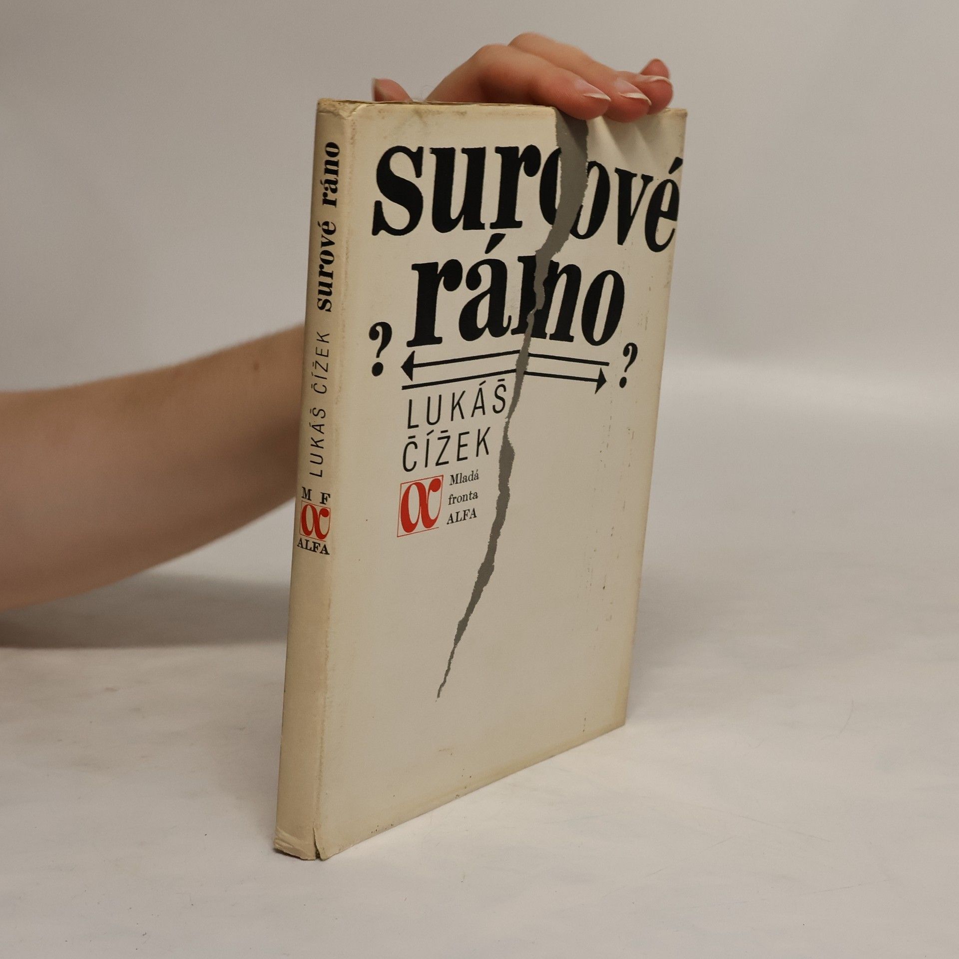 Lukáš Čížek Surové ráno